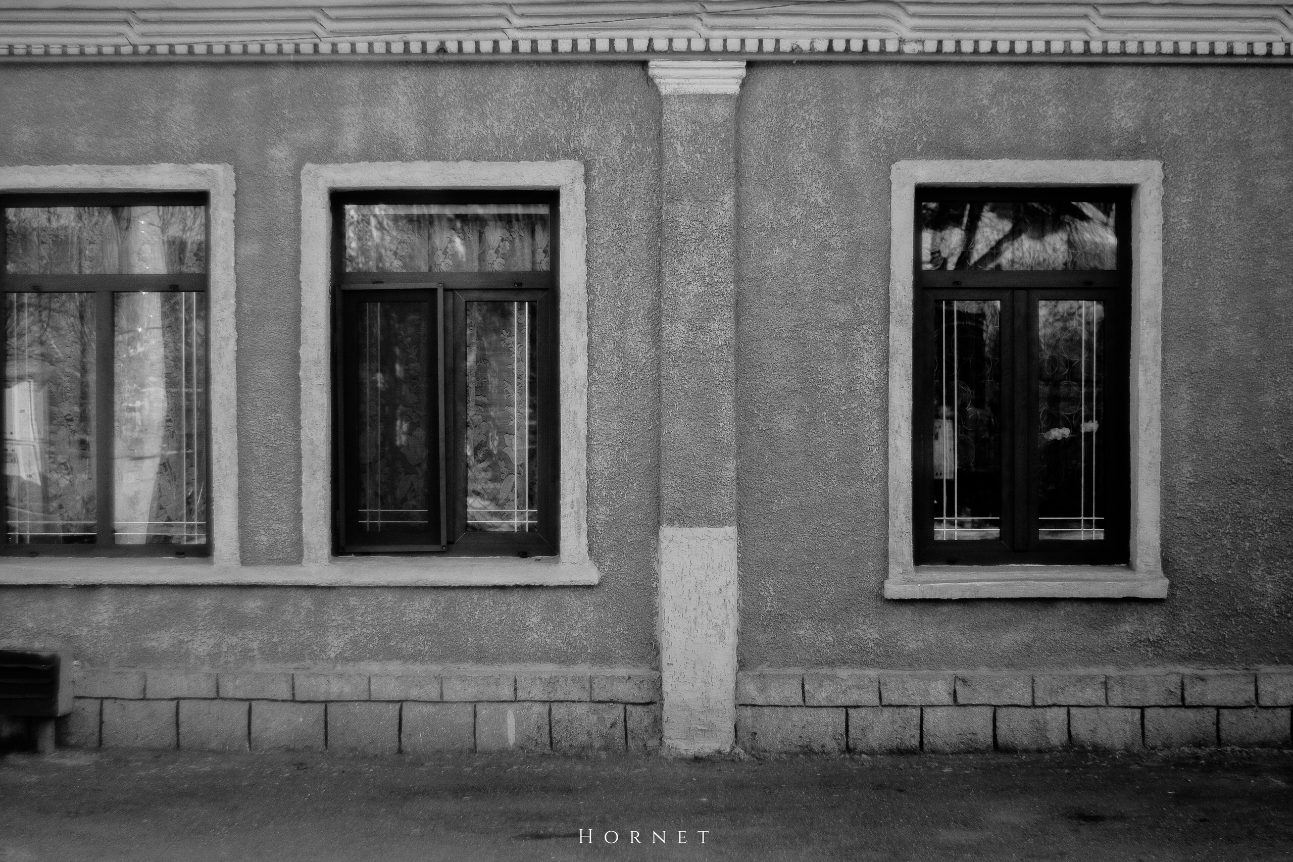 7.02.2025 Ploiesti | Romania. Hornetart