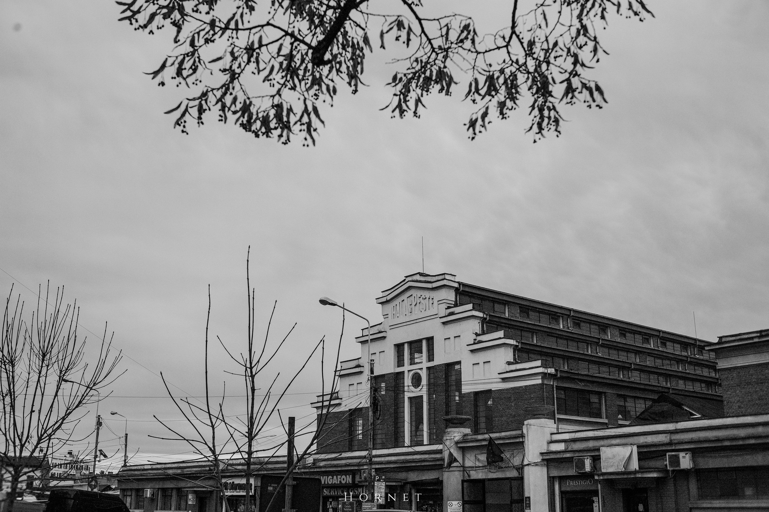 7.01.2025 Ploiesti | Romania. Hornetart