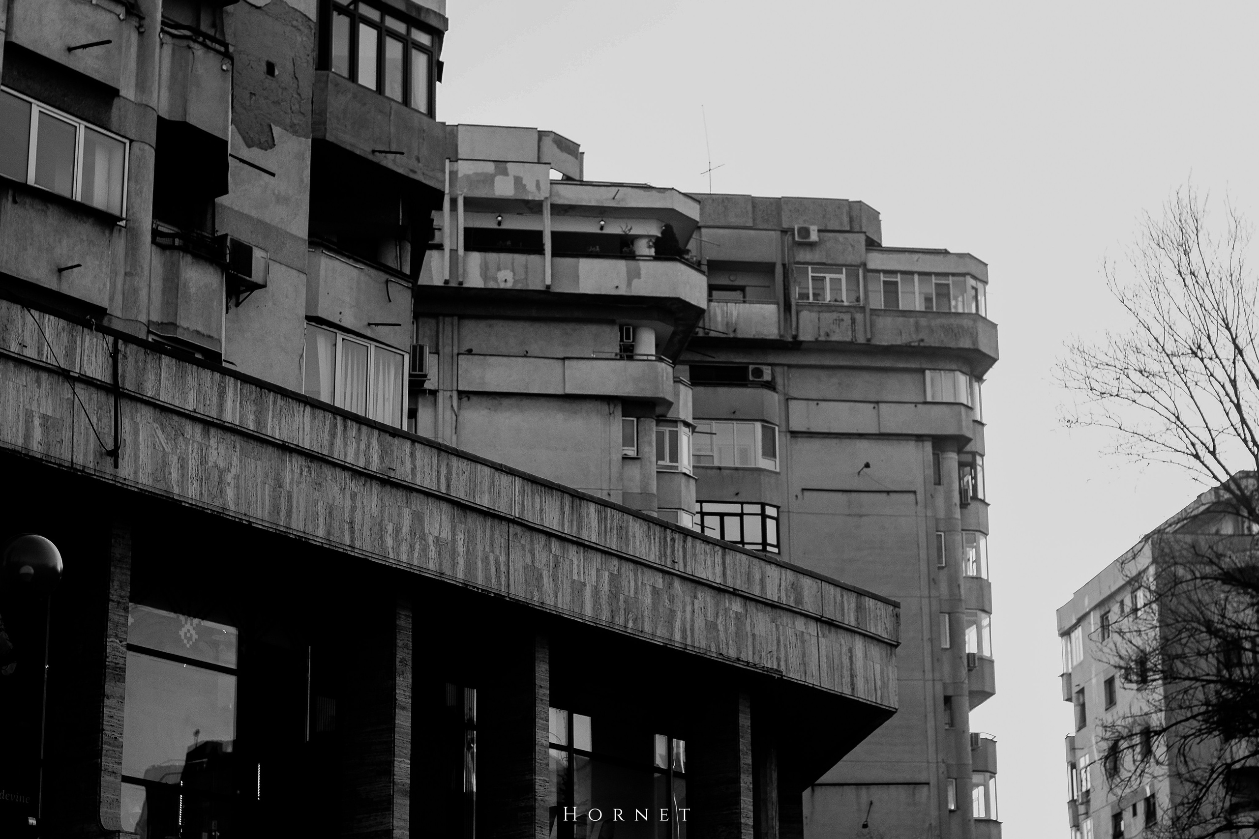 7.02.2025 Ploiesti | Romania. Hornetart