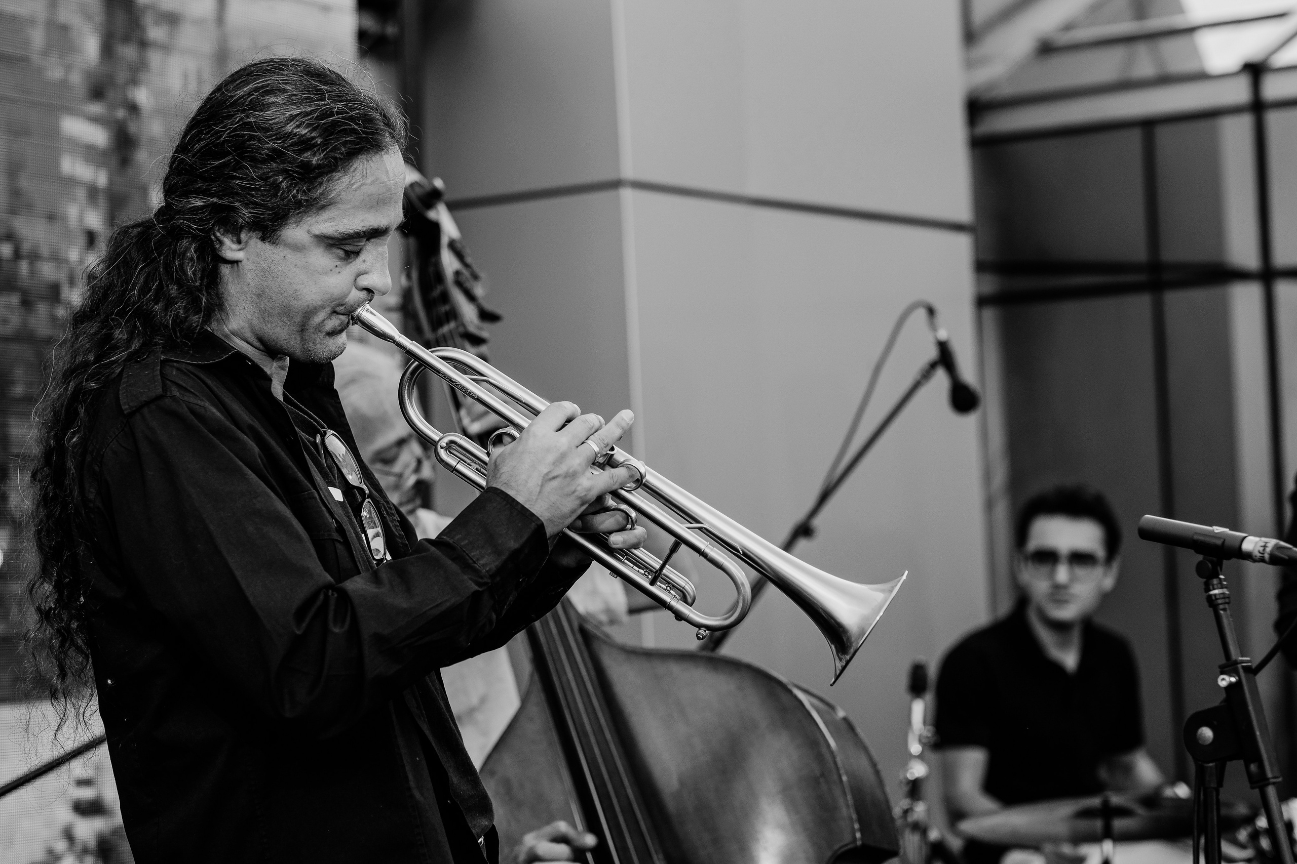David Luca Trio. Hornetart