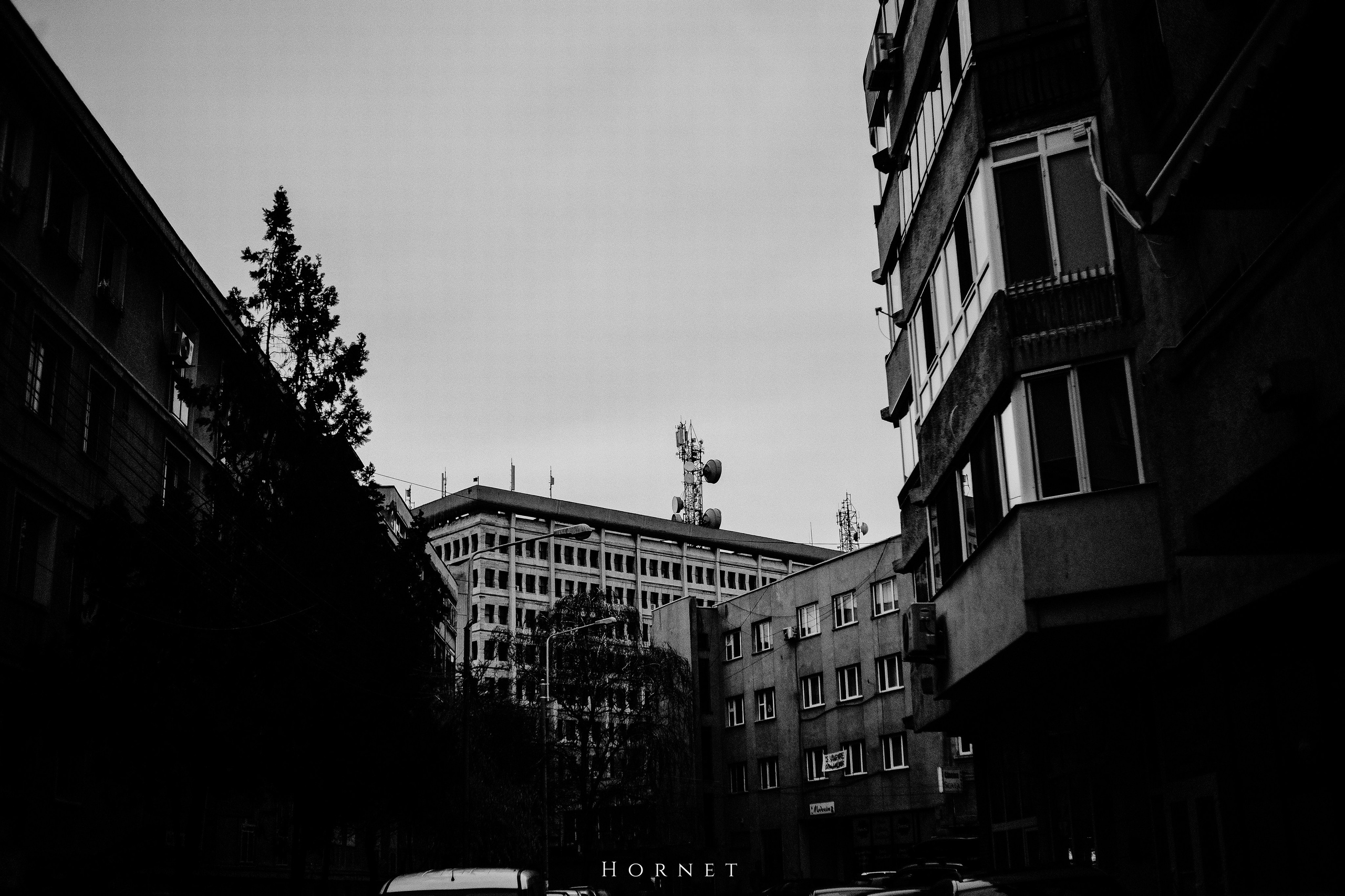7.01.2025 Ploiesti | Romania. Hornetart