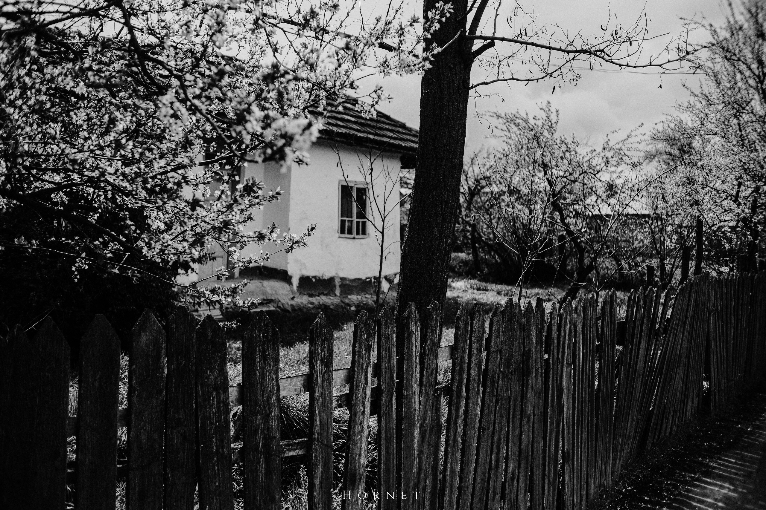 30.03.2025 Buzau | Romania. Hornetart