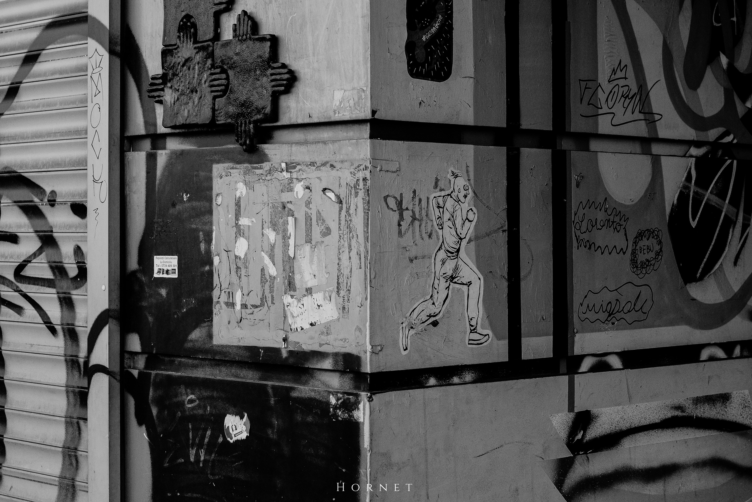 7.02.2025 Ploiesti | Romania. Hornetart