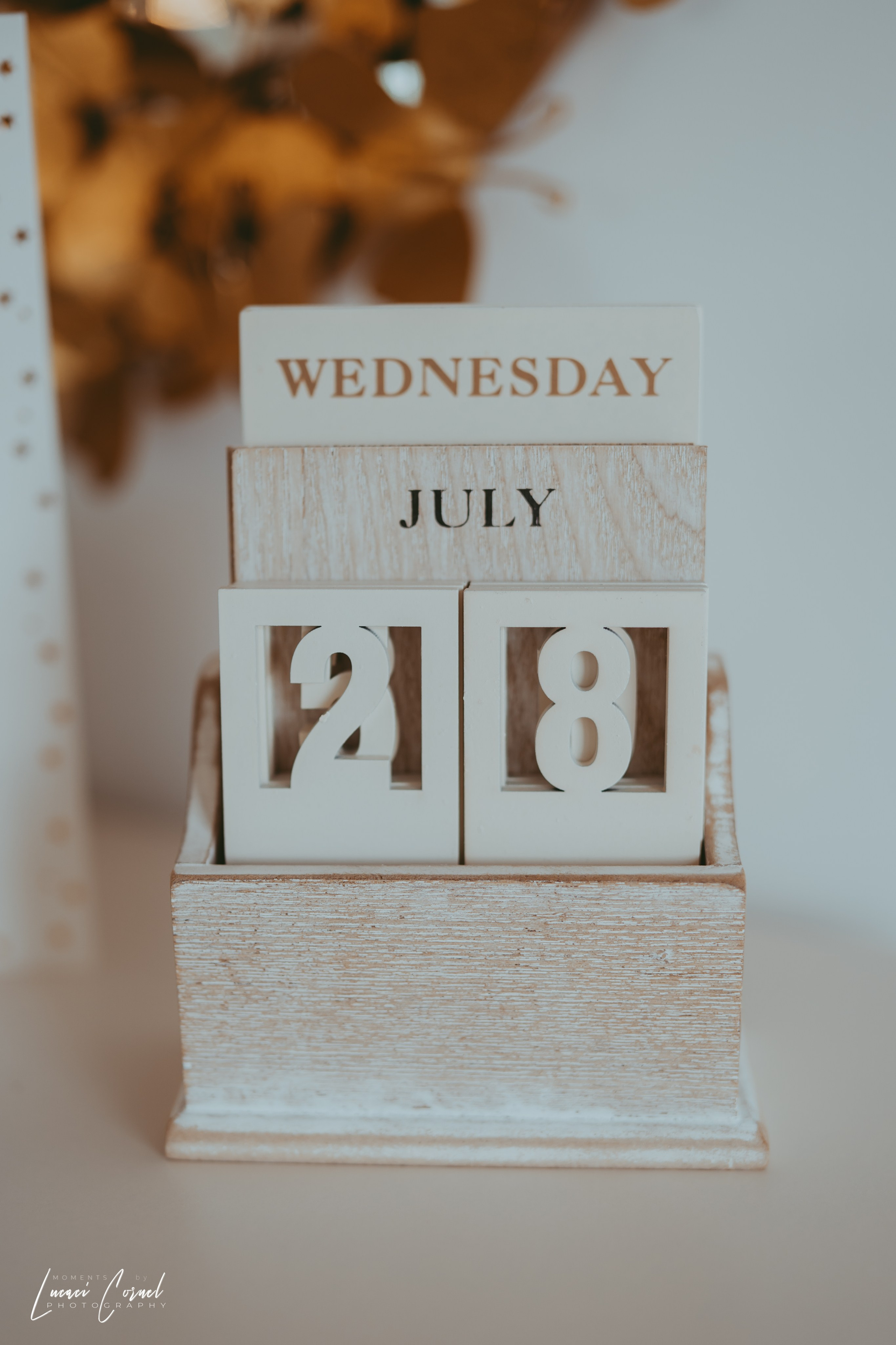 Familie – Amintiri de neuitat. Fotograf de nuntă, corporate, botezuri, majorate și aniversări Roman, Lucaci Cornel