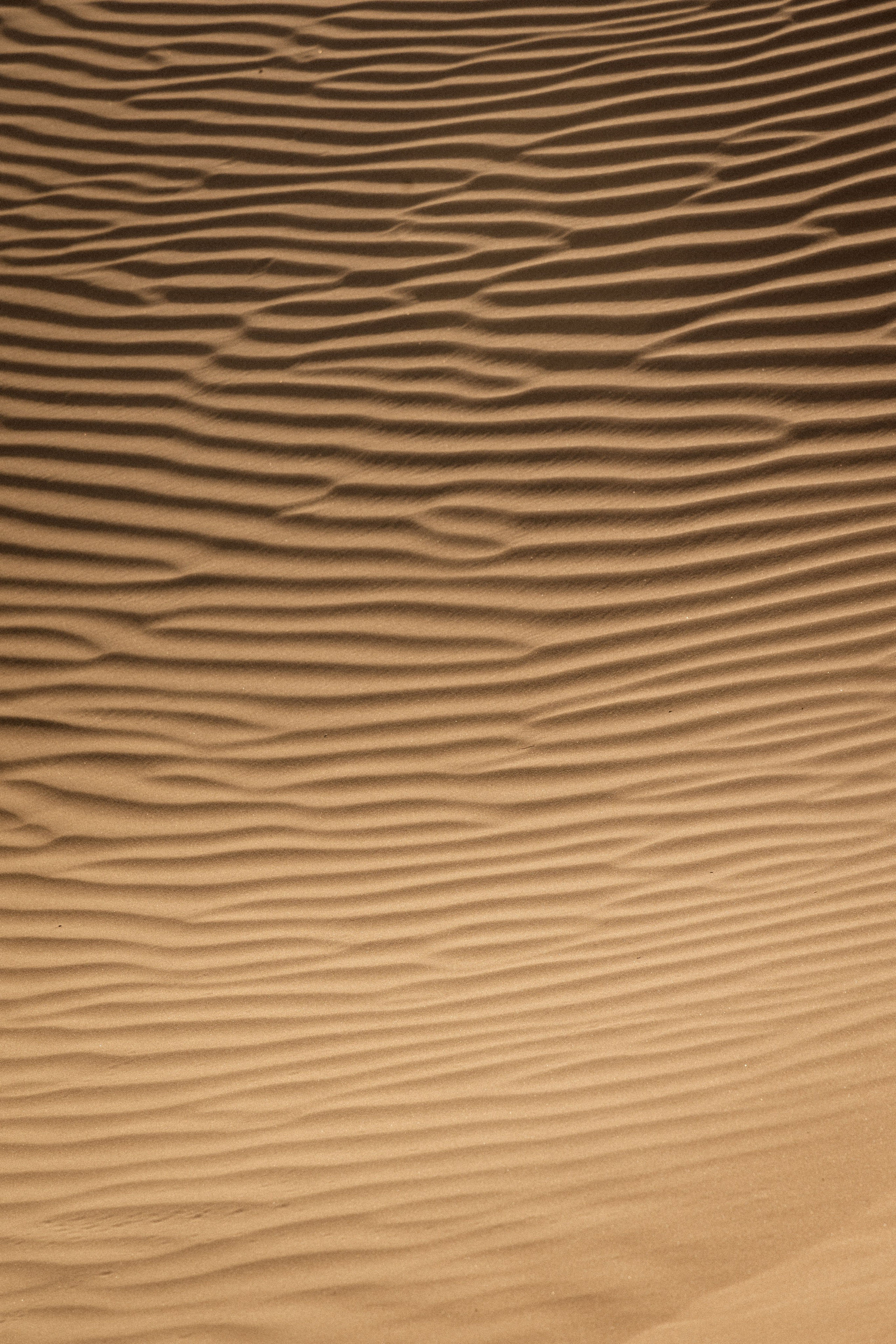 Галлерея. Anka Fateeva — Fine Art Photography Prints