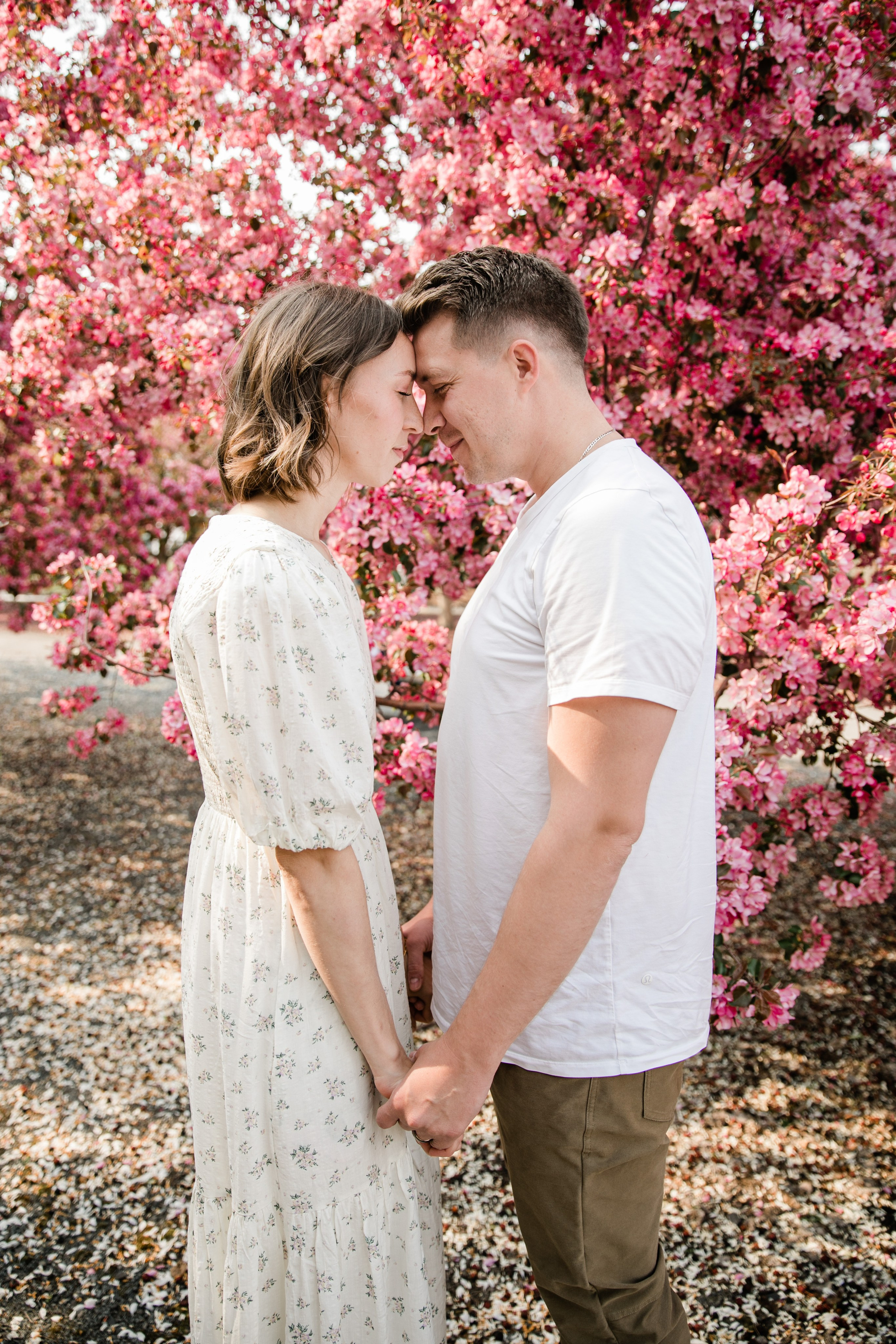 Cherry Blossom Pitcher’s Family. Ching Li Photography