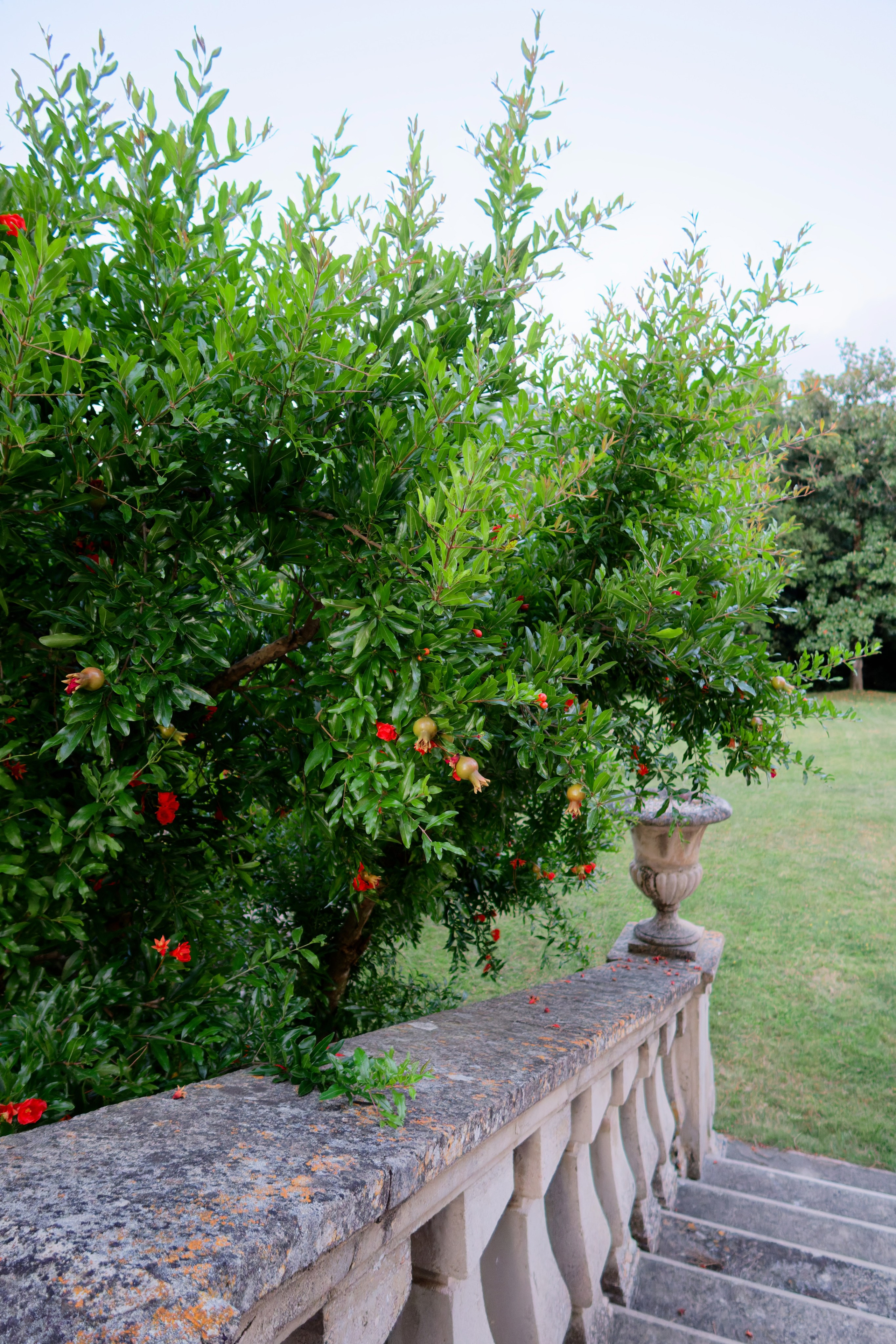 Wedding at La Torre di Pila, Umbria, Italy