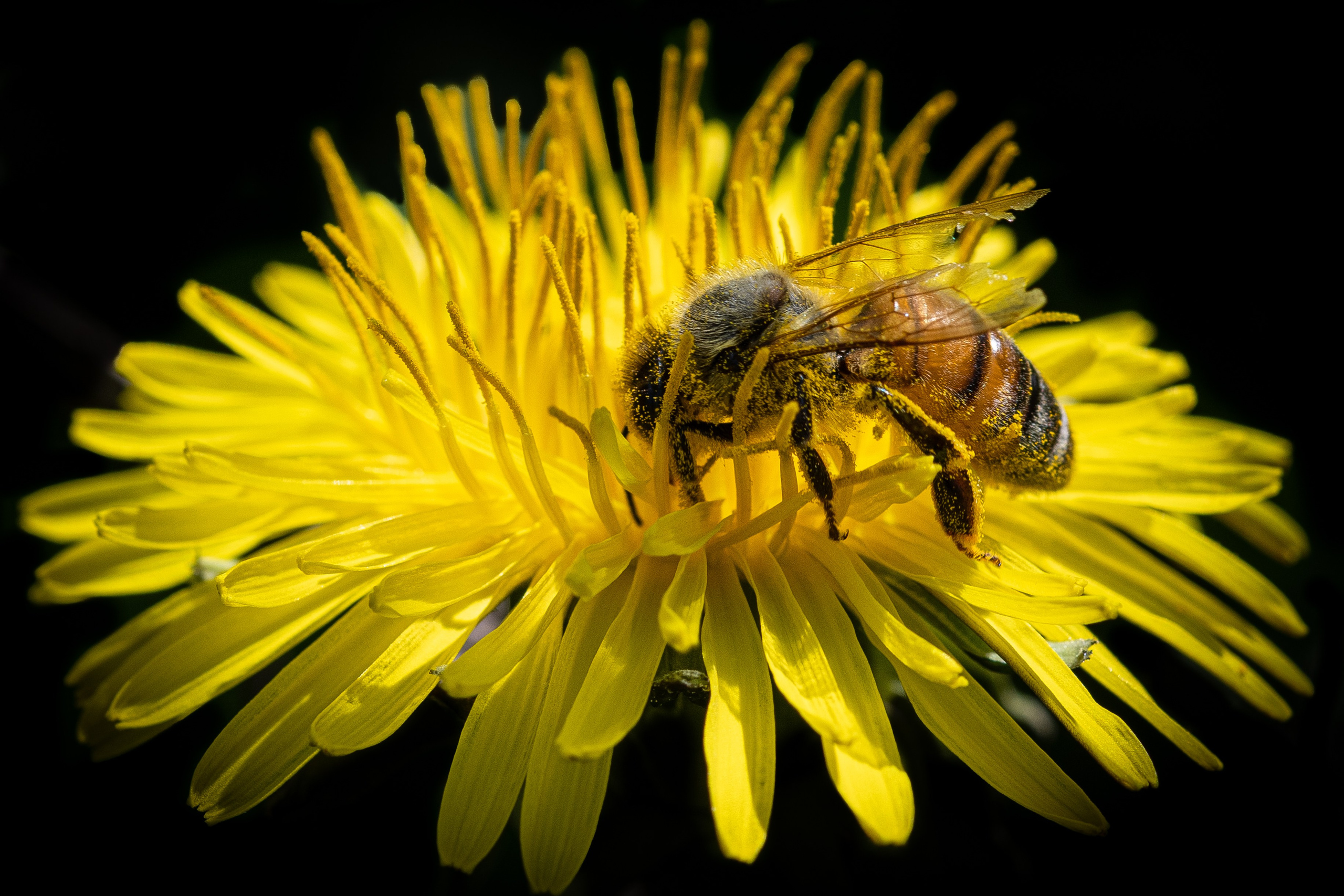 “Gianmaria Coscia fotografo per passione”