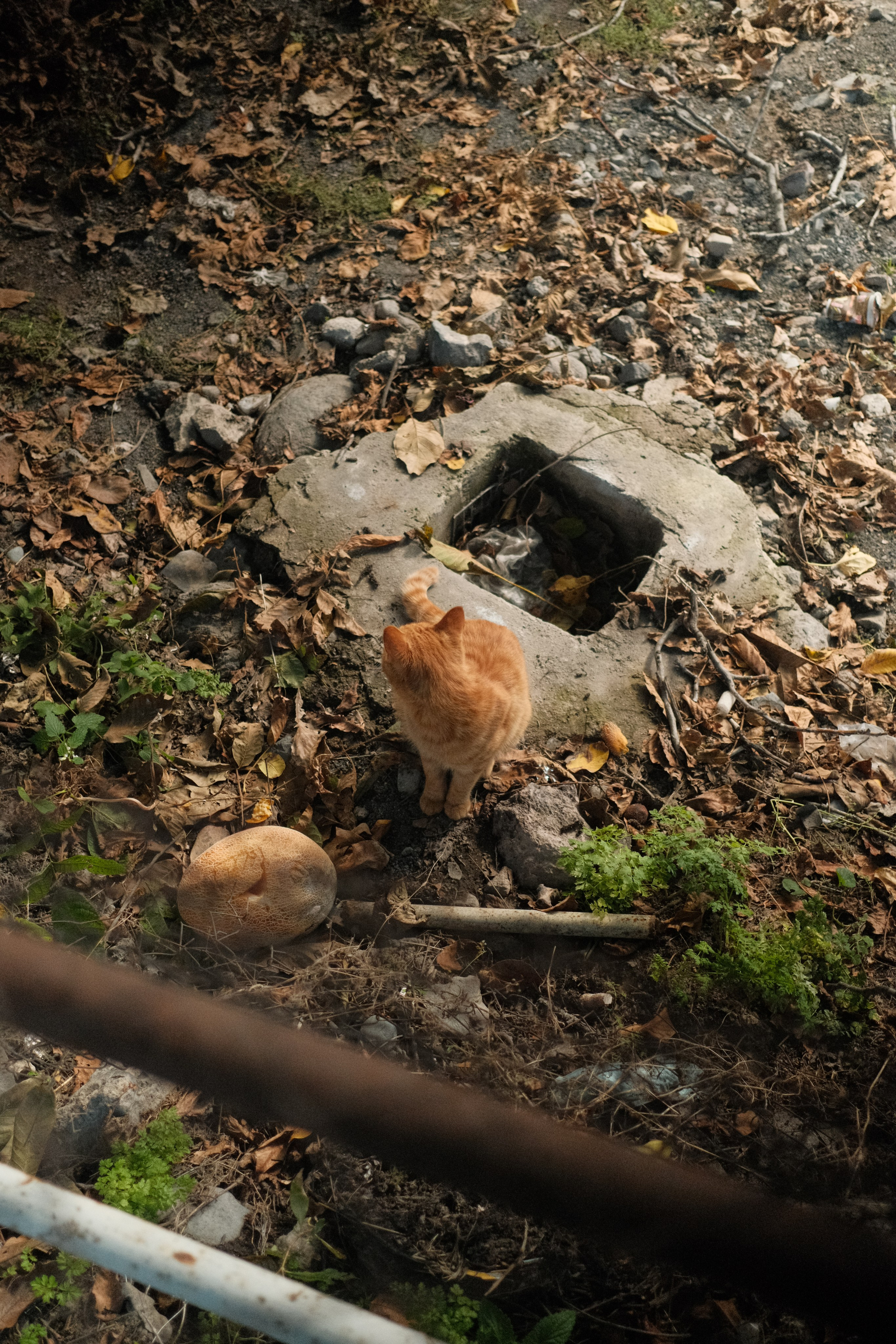 Armenia. Portrait and Lifestyle Photographer in Vienna — Nick Pavlov