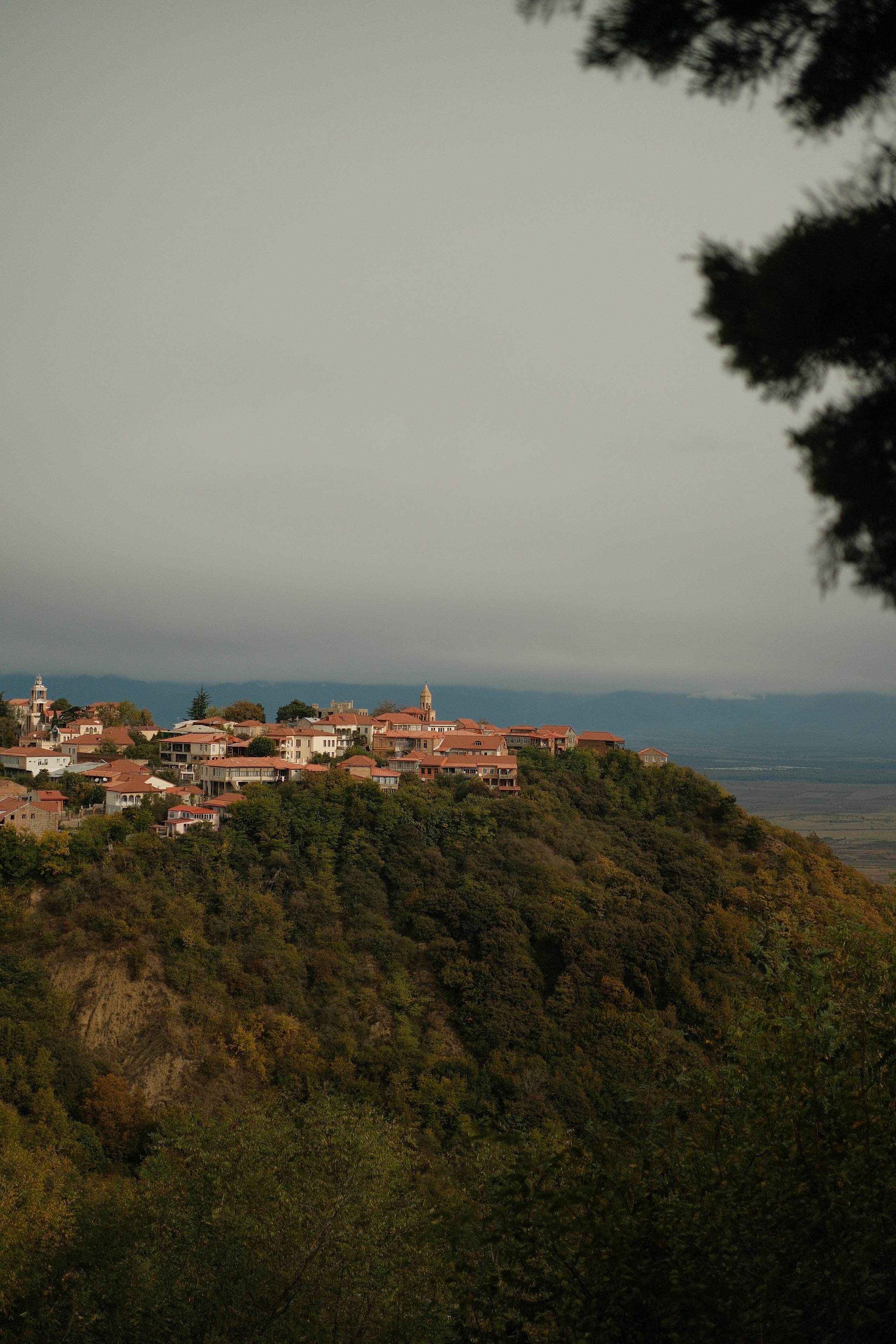 Georgia. Portrait and Lifestyle Photographer in Vienna — Nick Pavlov