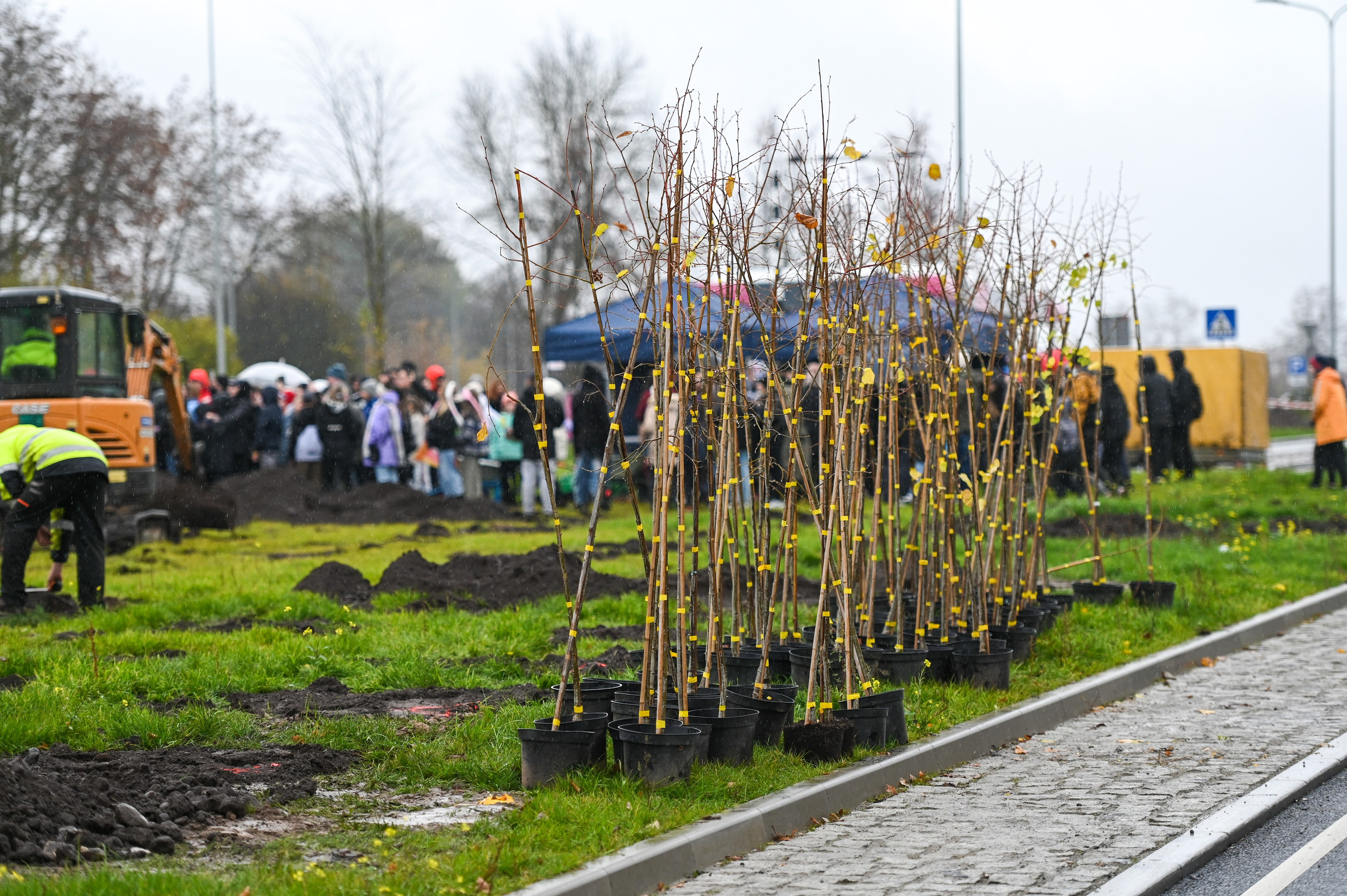 Koku stādīšana Rēzekne stacijas iela. Ritvars Pujats Emotion Photographer