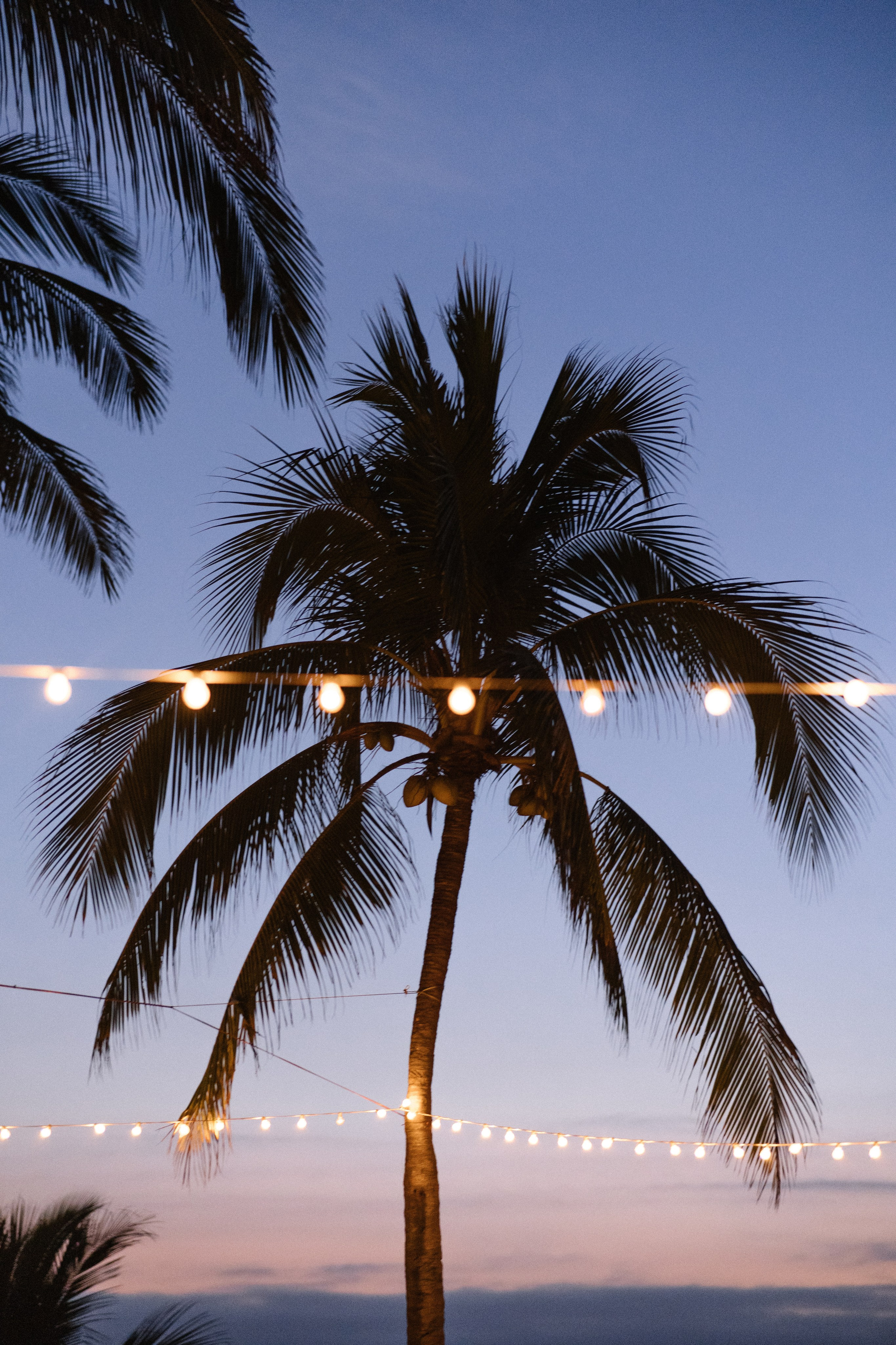 Villa del Oso, Sayulita. Wedding photographer Mexico Sayulita Puerto Vallarta Punta Mita Cabo