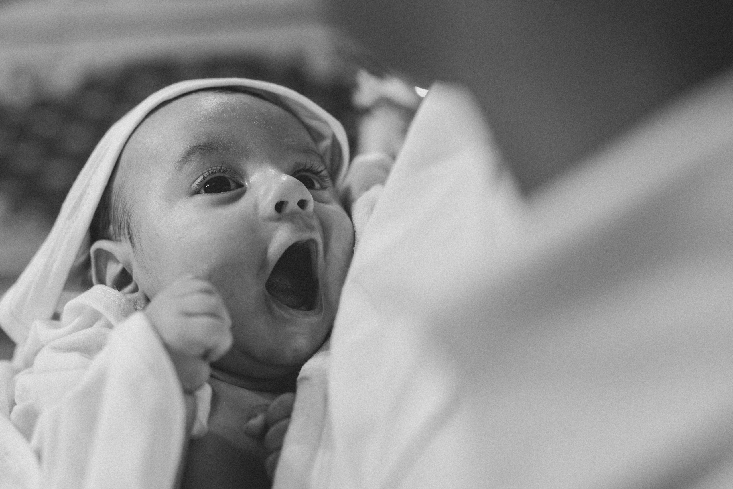 Bogdan Constantin. Catalin Brinza