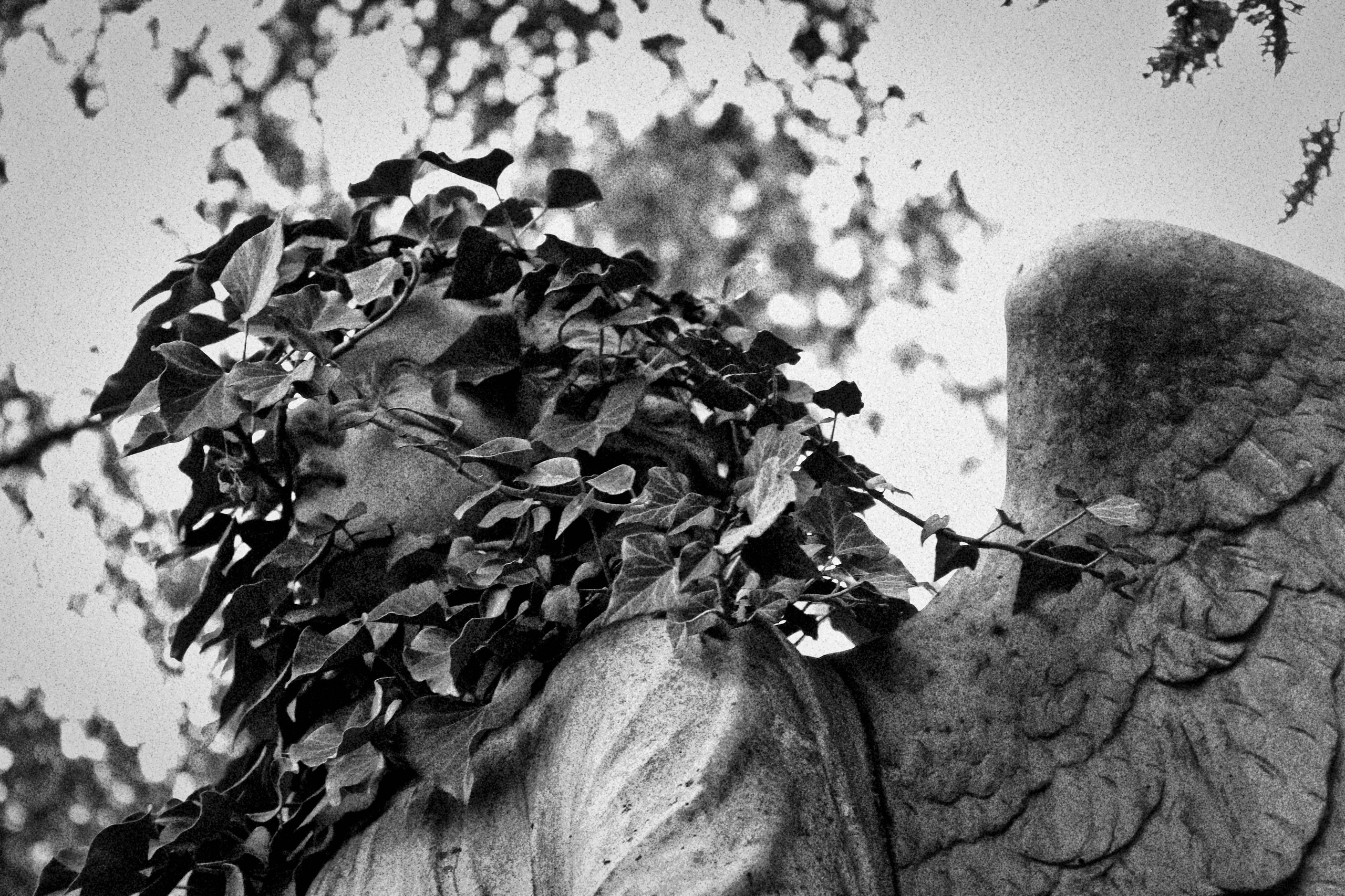 ГЕРМАНИЯ. Стрит-фотография, полная абсурда, идиотизма и красоты