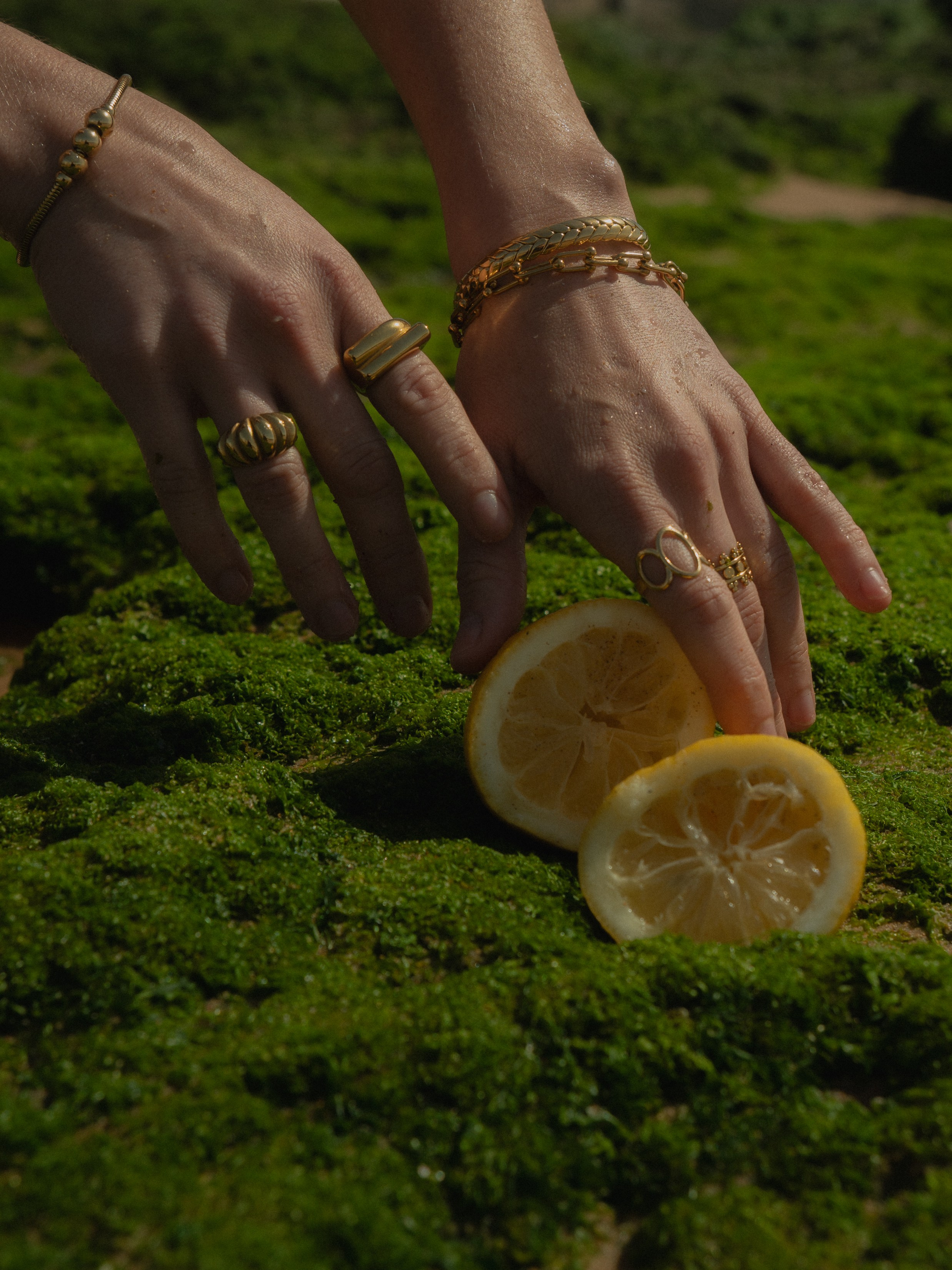 Masala__store. Lisbon Event Photographer