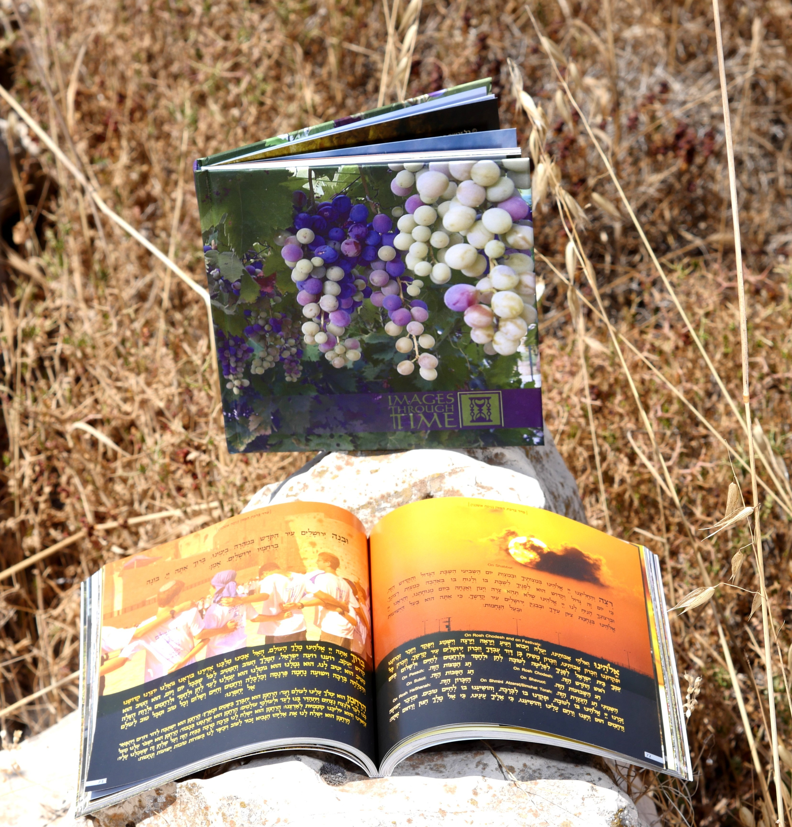 Books. Portrait & Event photographer in Israel — Rebecca Kowalsky