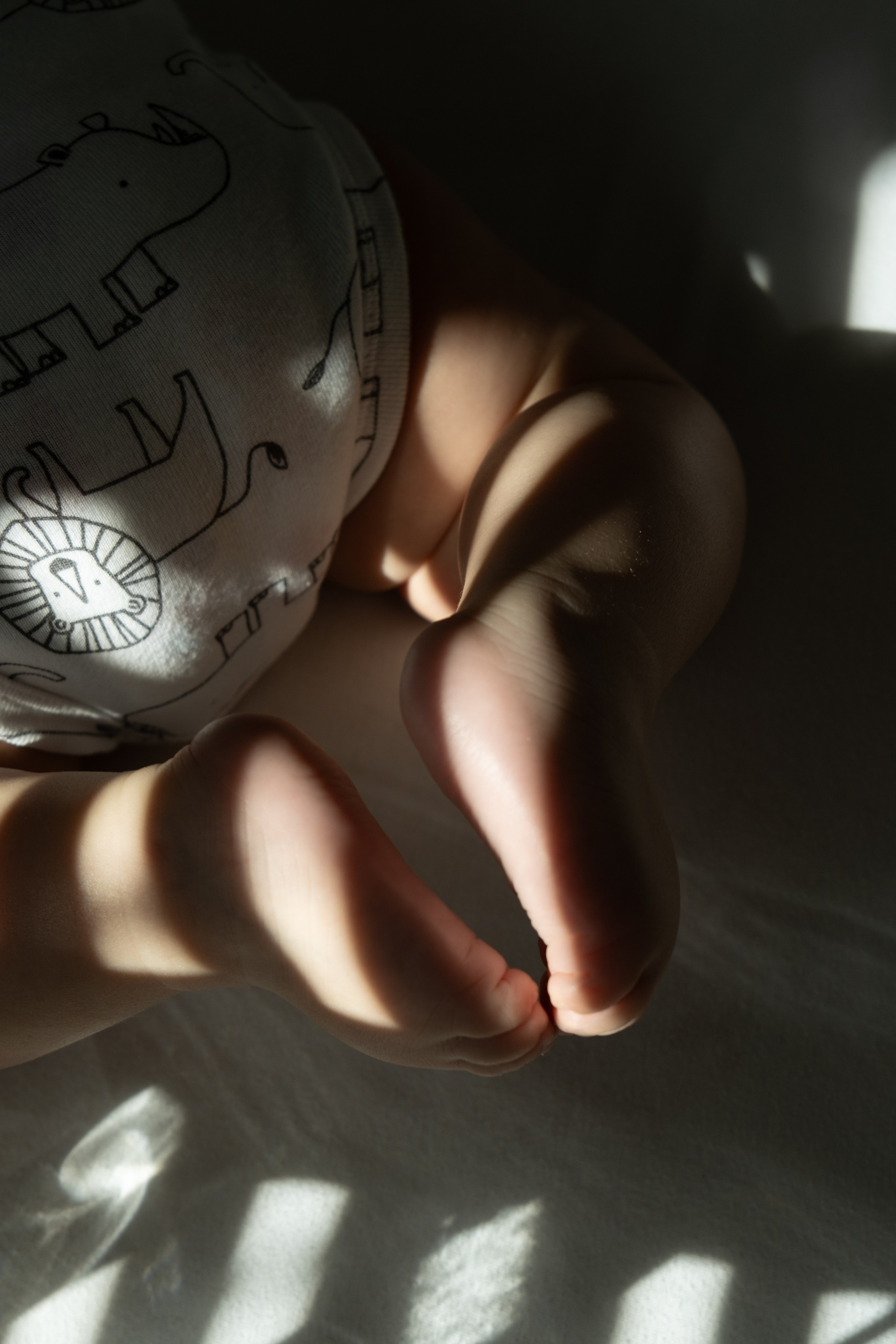 Veniamin. Photographer Vladmir Gladkov