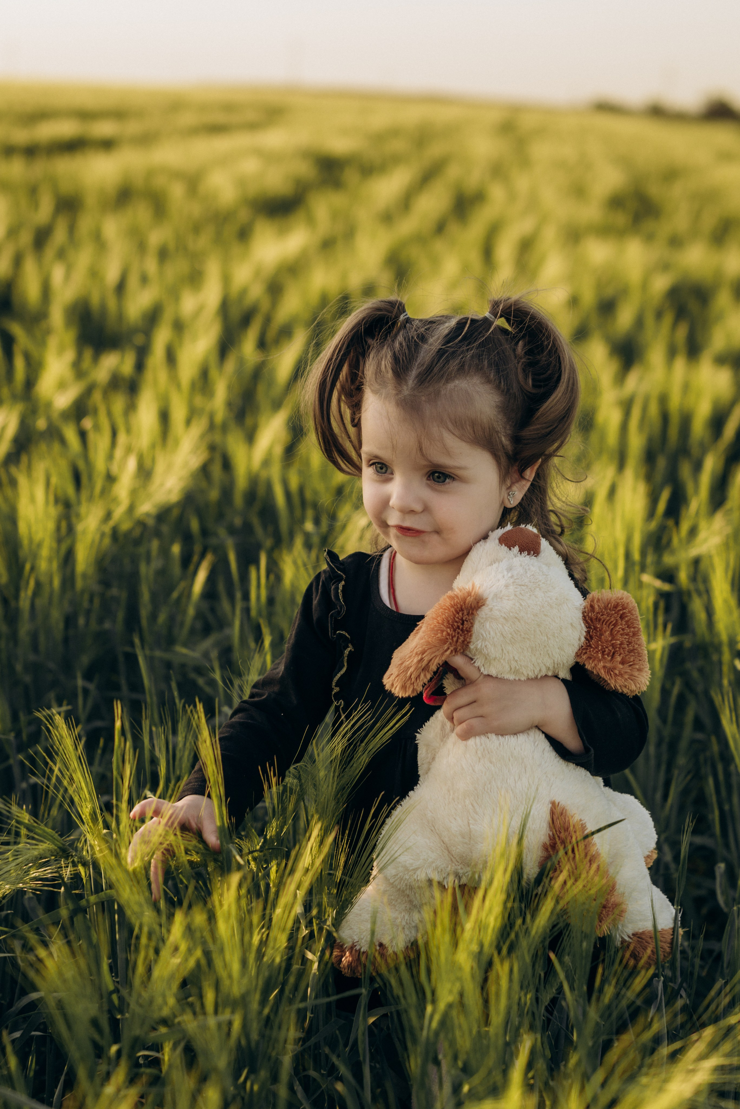 *. Wedding and family photographer San Diego