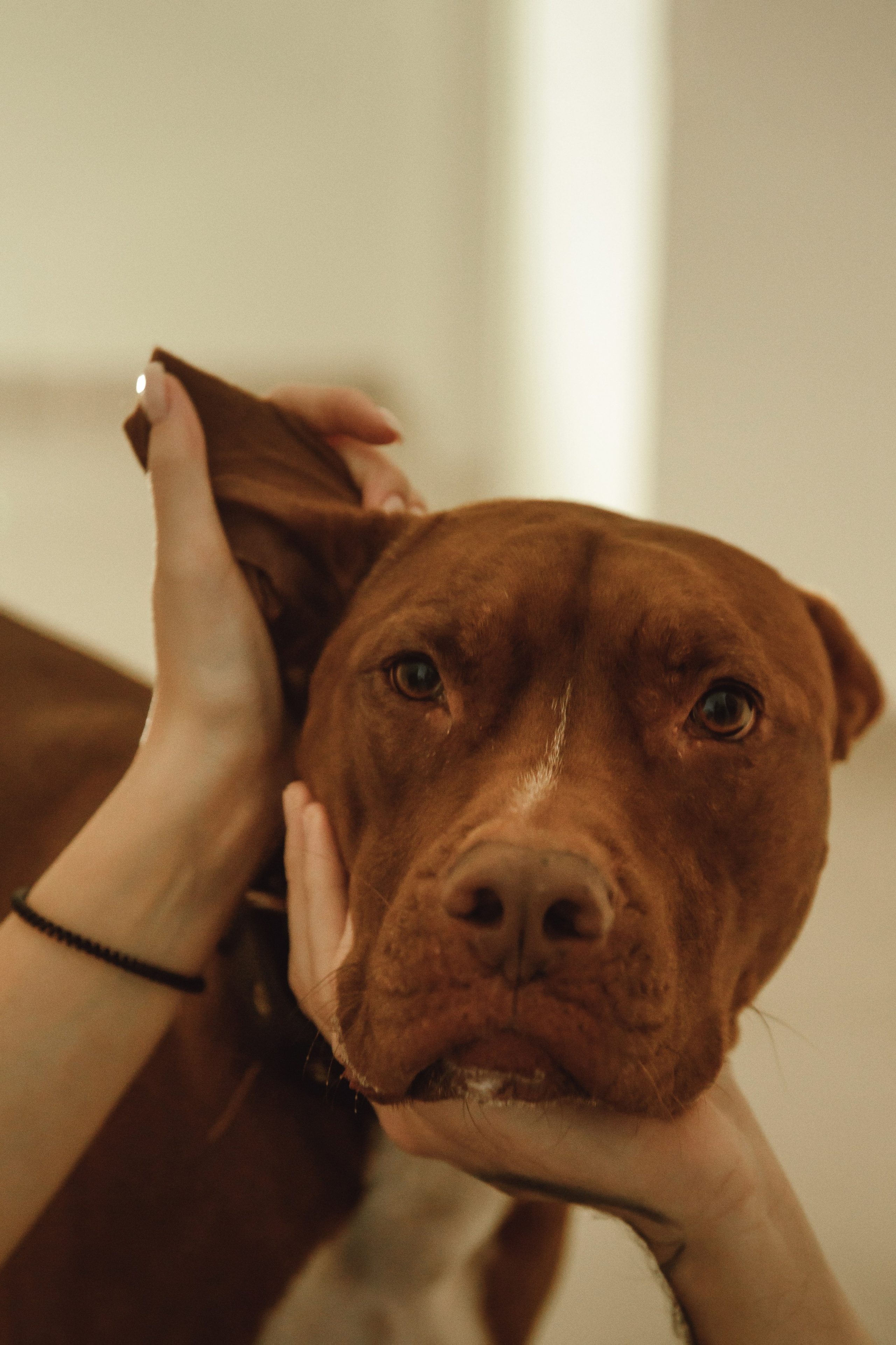 Family history. Семейный детский фотограф Бляхер Ирина в Израиле