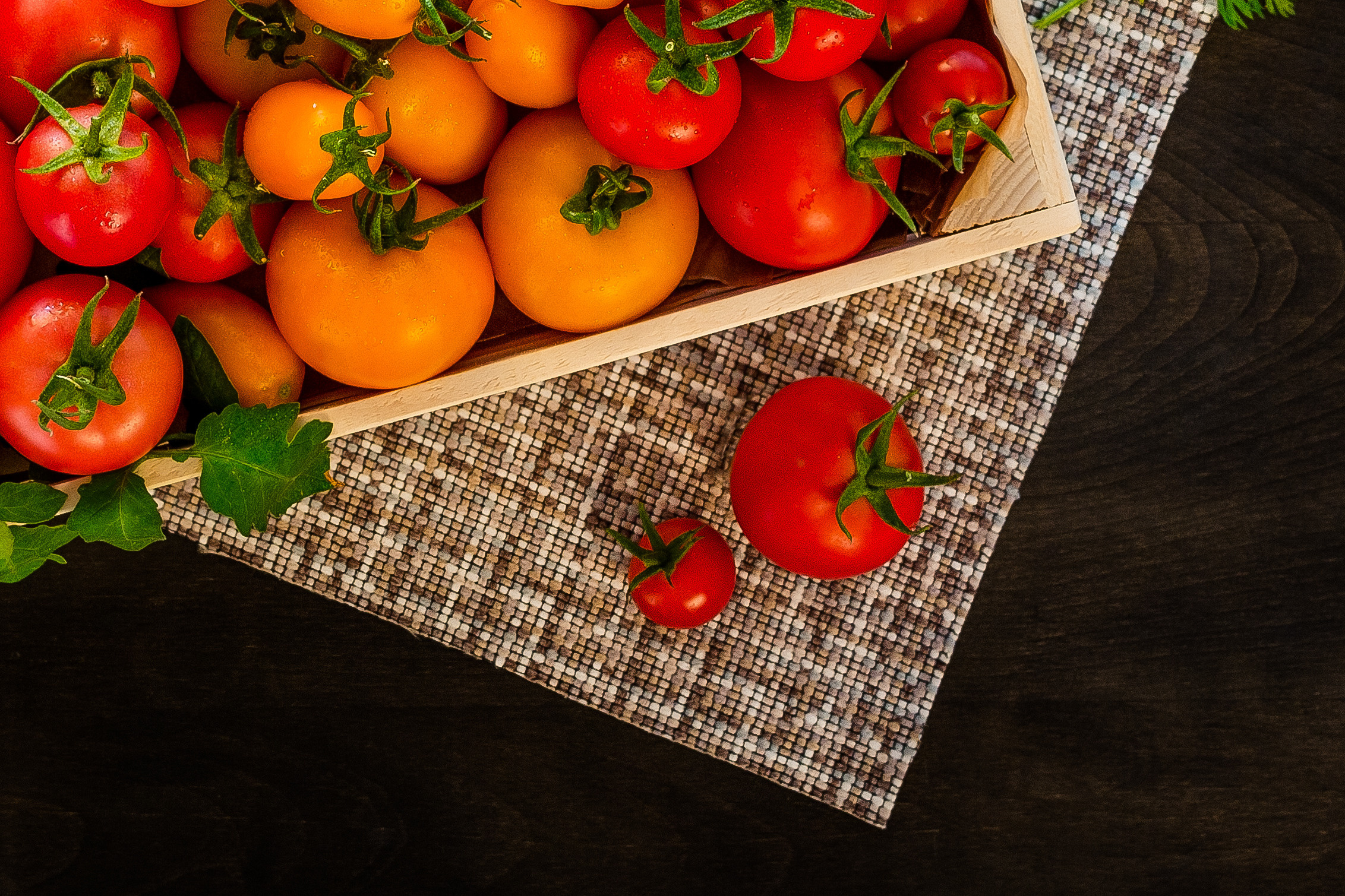 …. Fotograf de familie și evenimente