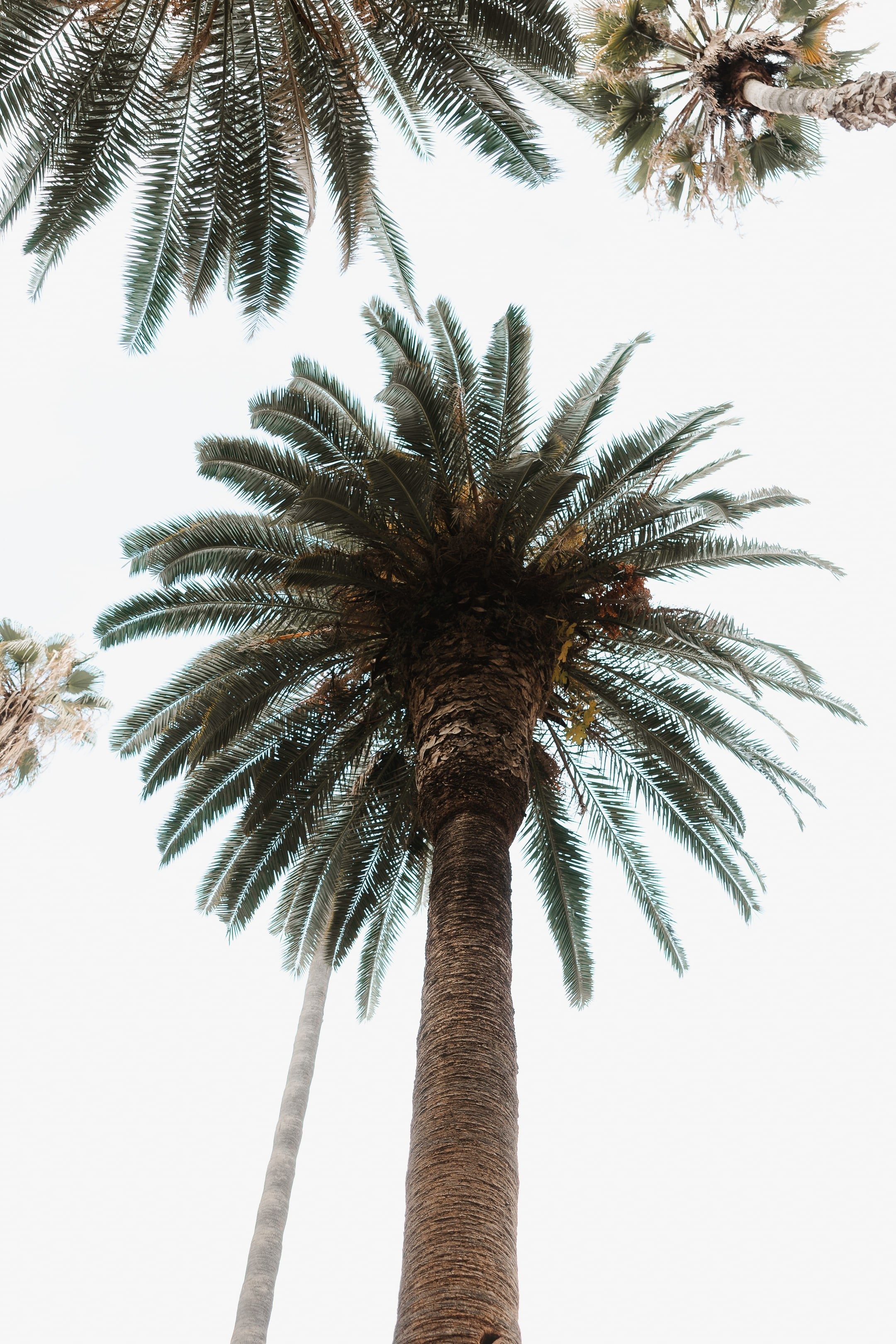 Ioana & Marian |Rome