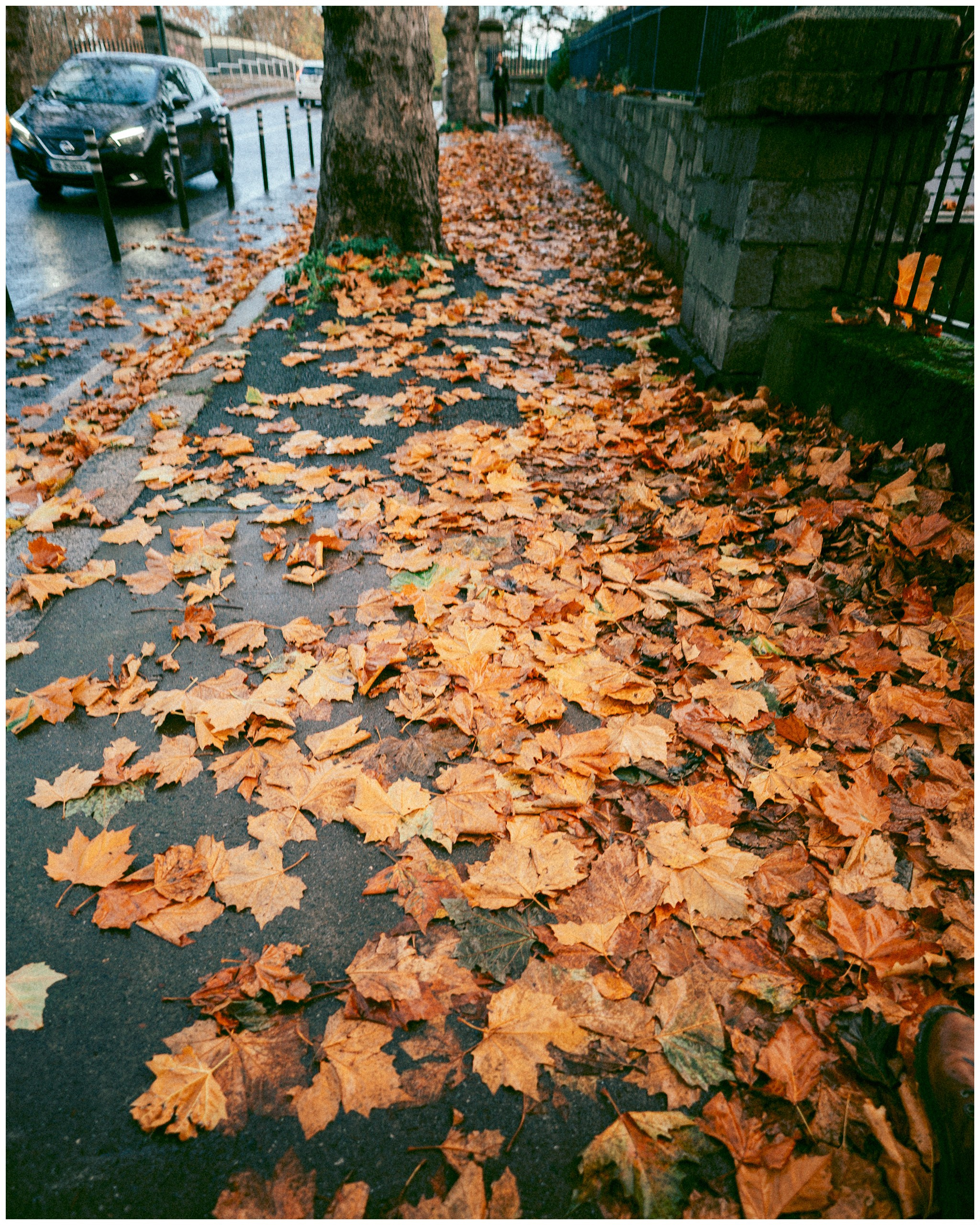 IRELAND. Inna Mendelson — Photographer