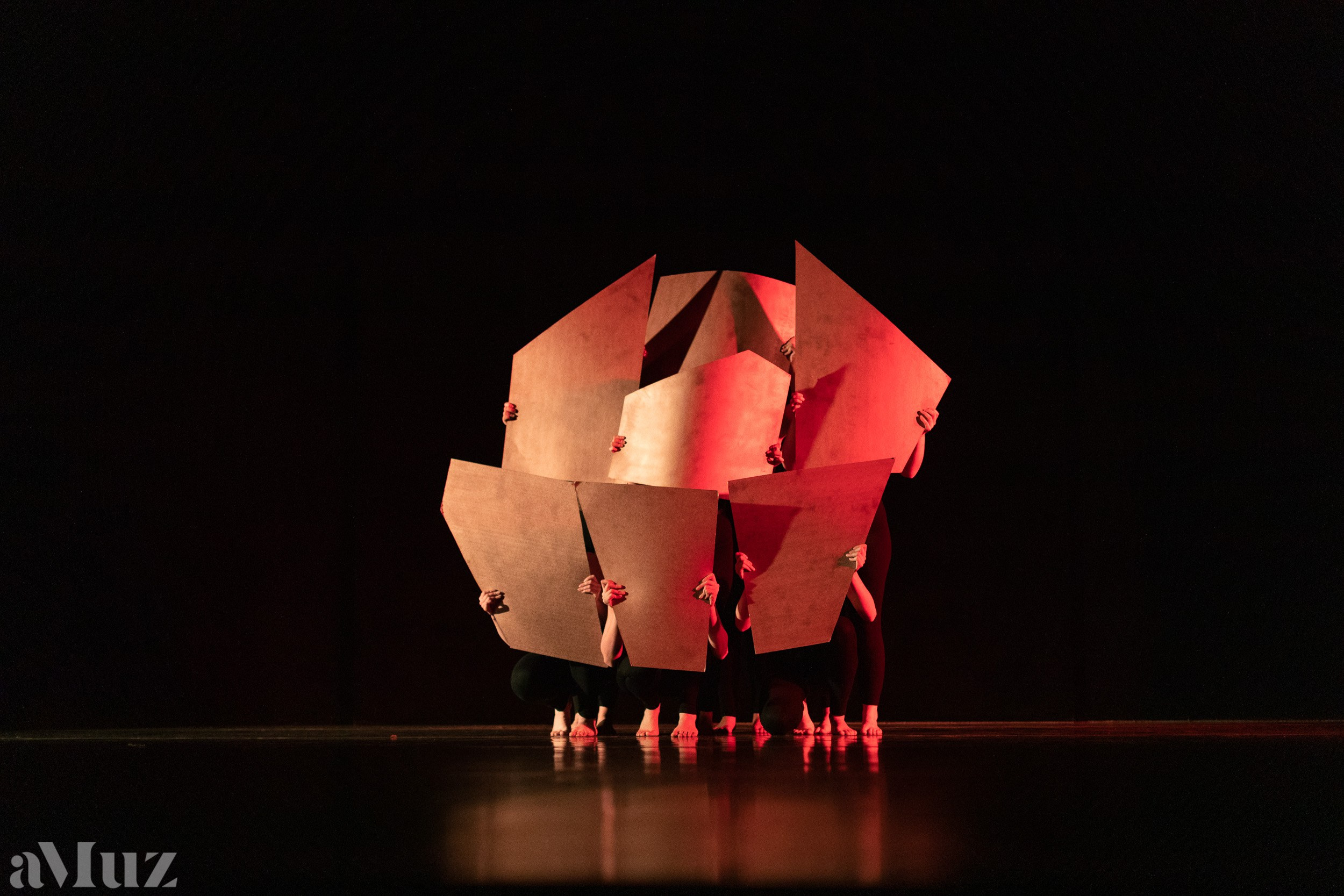 Rytmika. Fotograf Ślubny Warszawa - Sesje Biznesowe Rodzinne Eventy