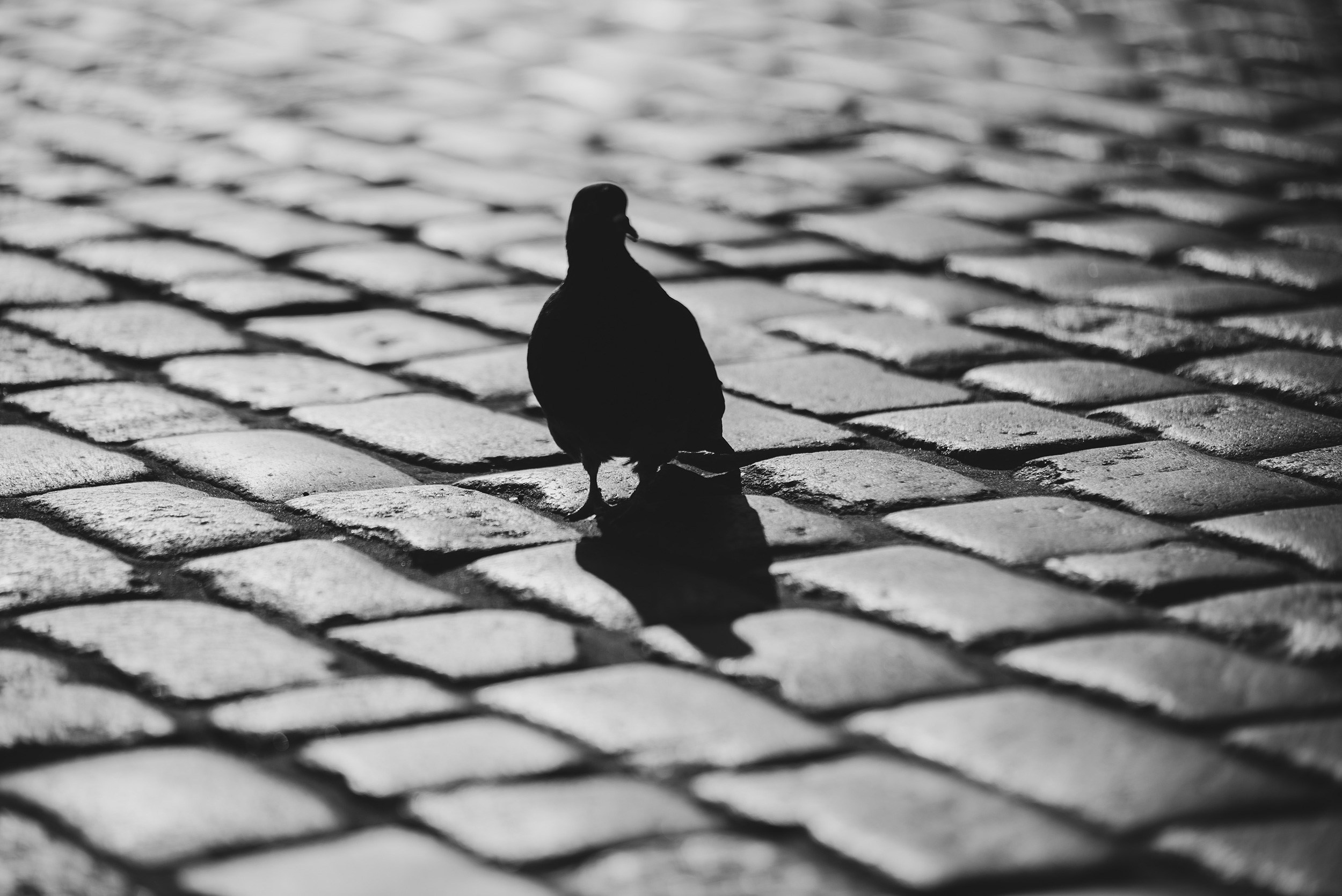 Warsaw. Photographer in Yerevan