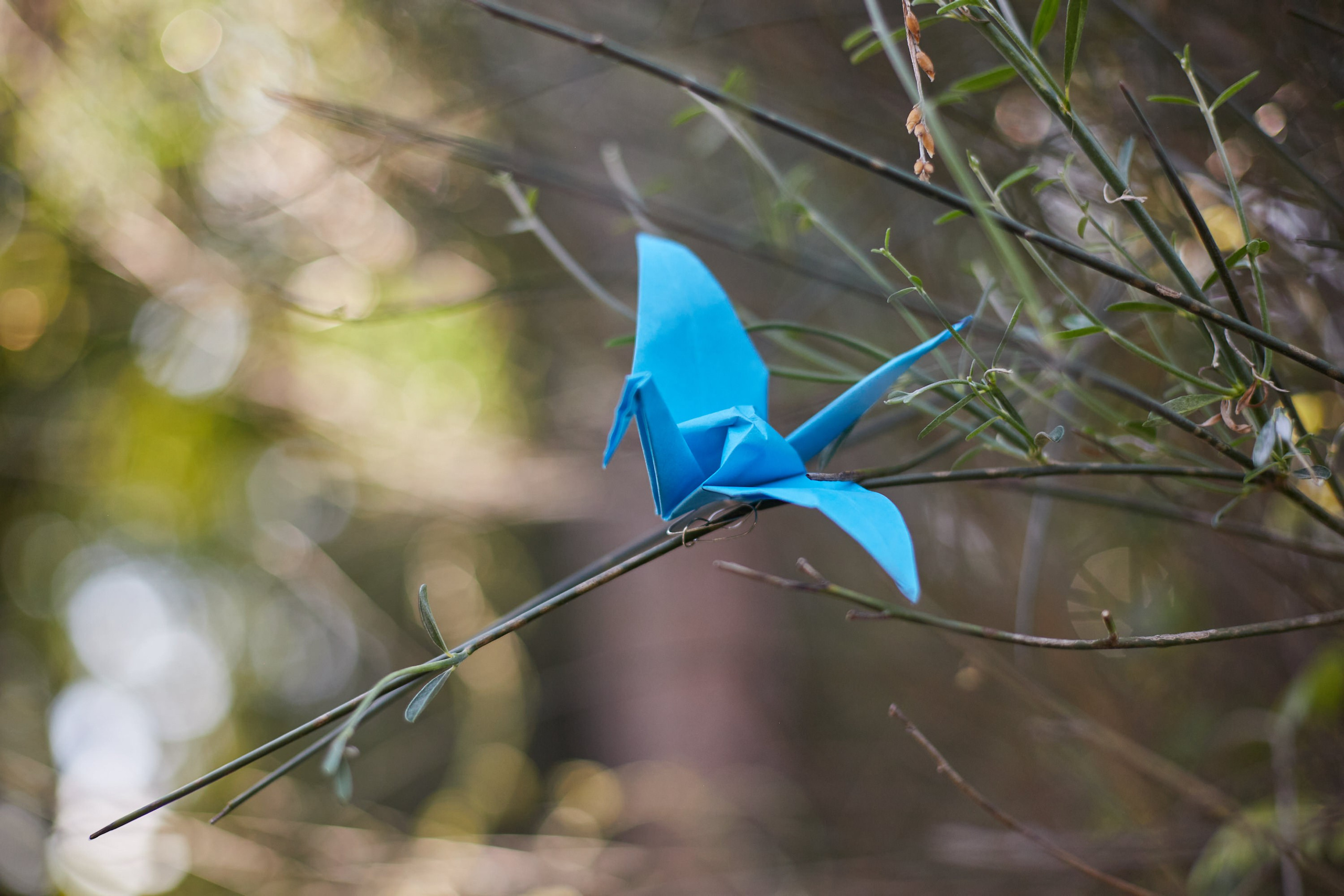 Mati & Martín. Marcos Ferrari Fotógrafo