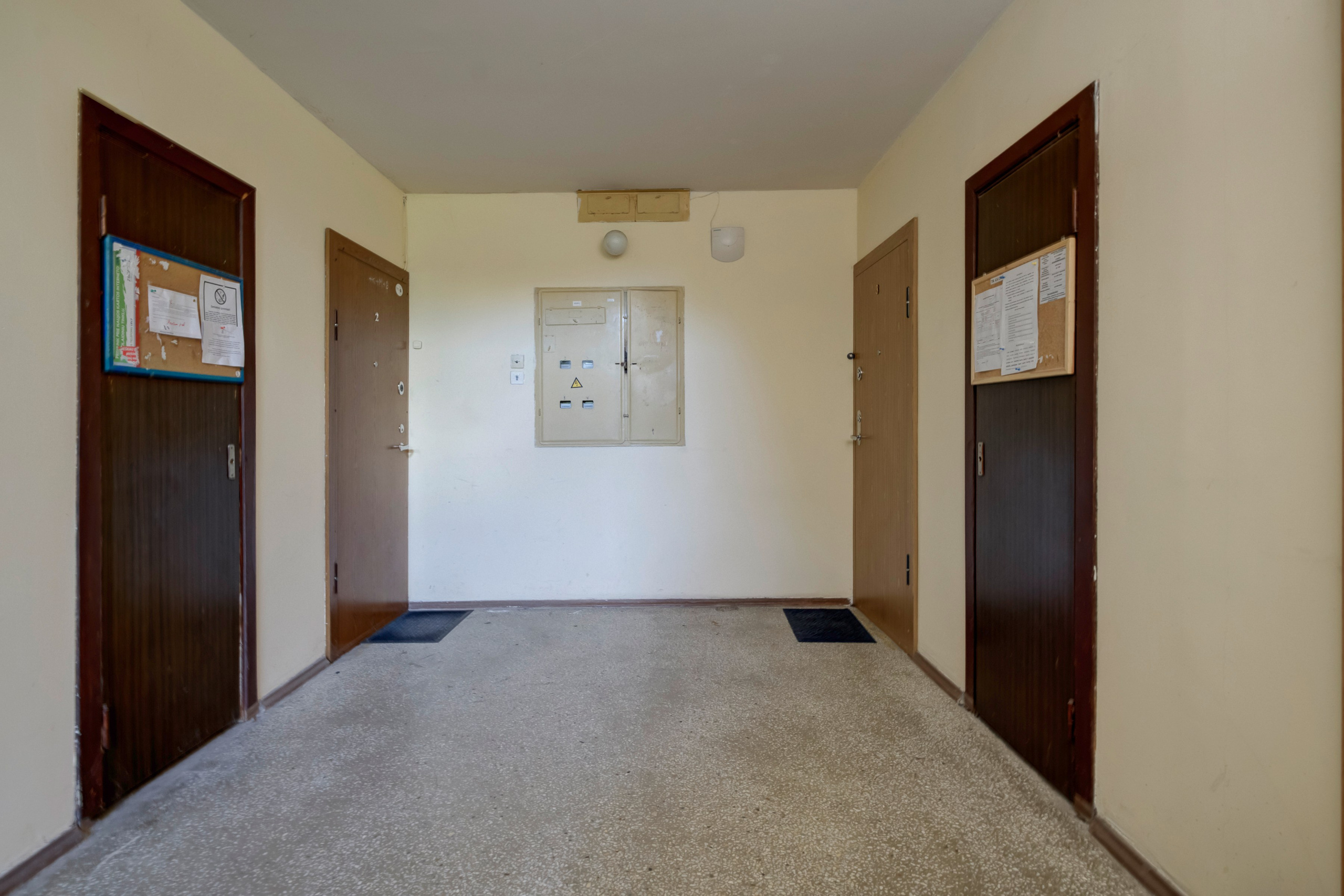 Gabijos g. Elina Sapiega fotografė Vilniuje