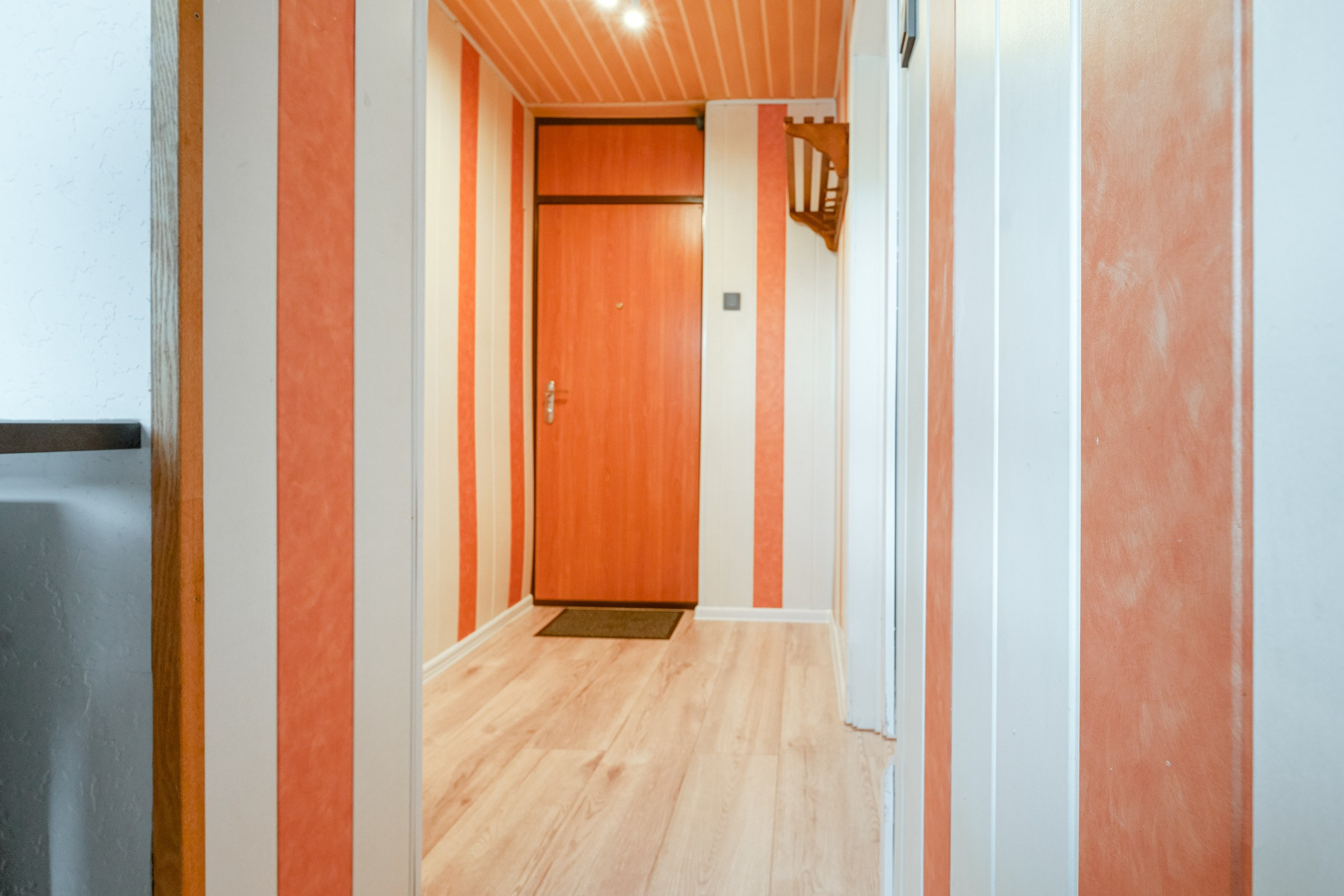 Savanorių g. 33. Elina Sapiega fotografė Vilniuje