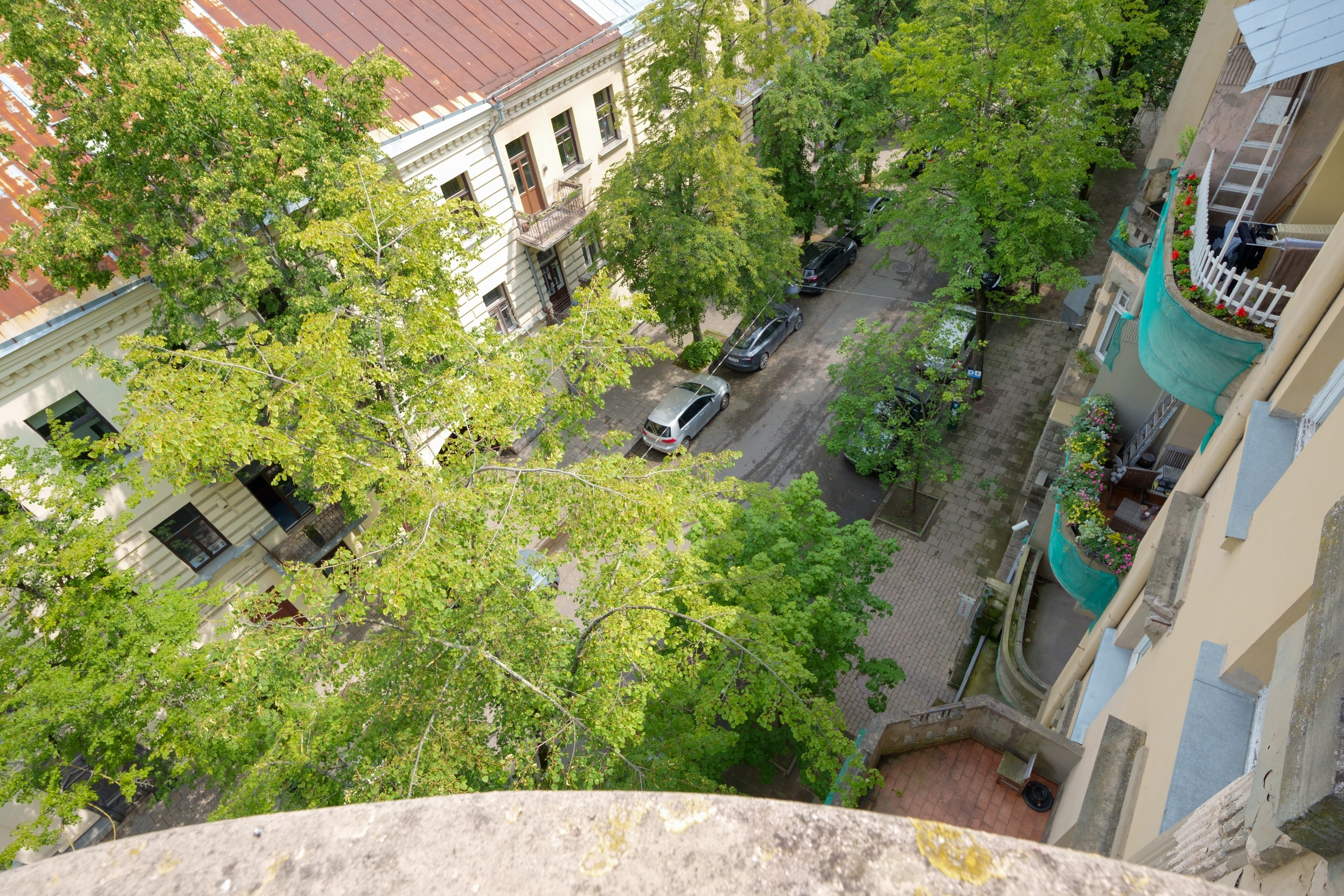 Kaštonų g. 3. Elina Sapiega fotografė Vilniuje