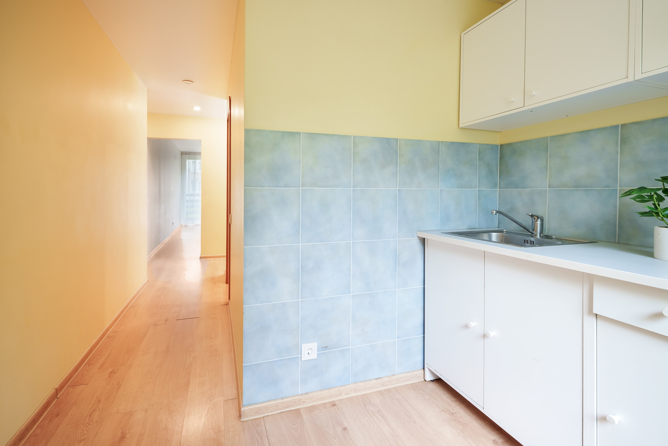 Antakalnio g. 64. Elina Sapiega fotografė Vilniuje