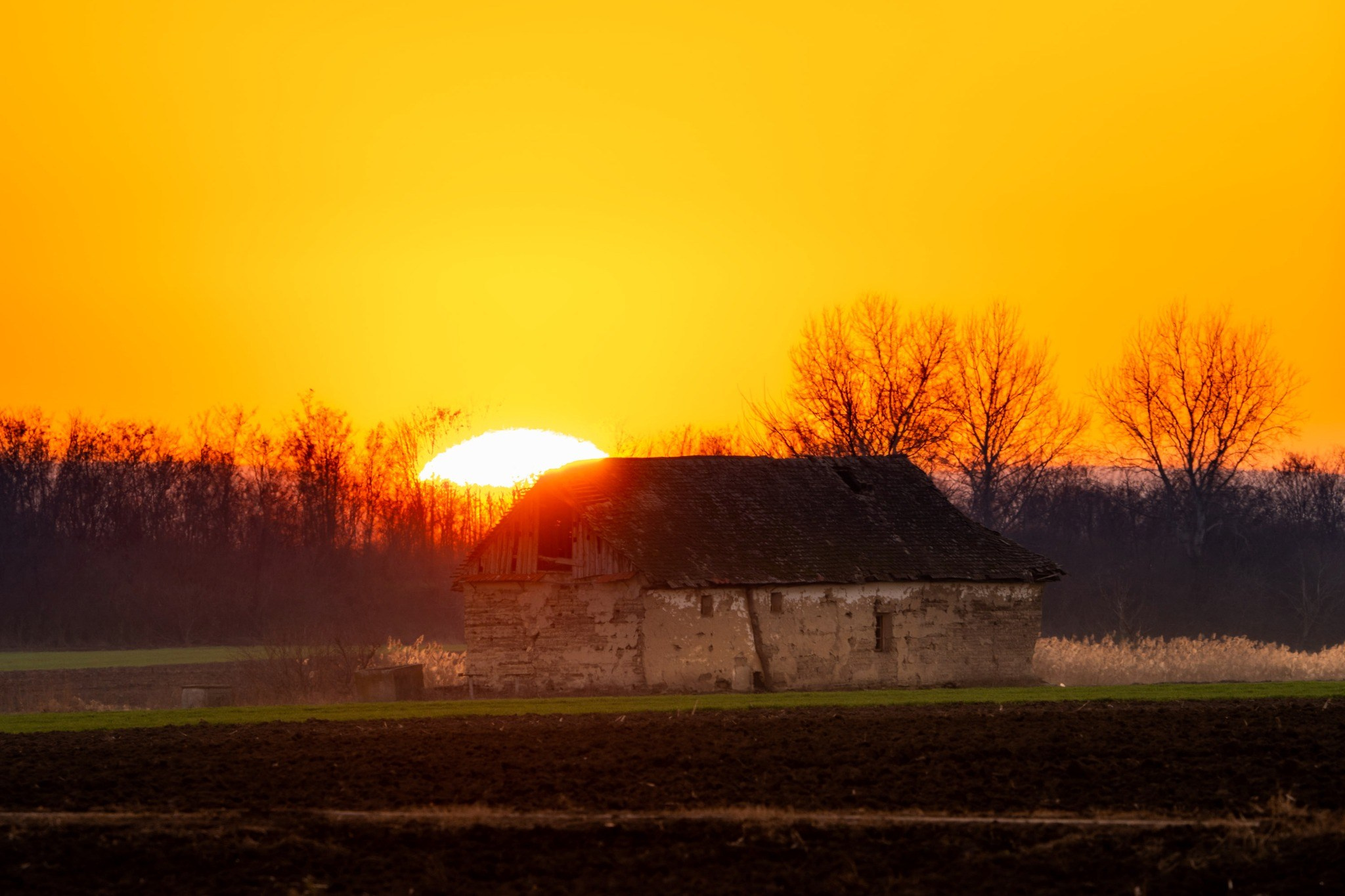 Landscape photography. Wedding photography