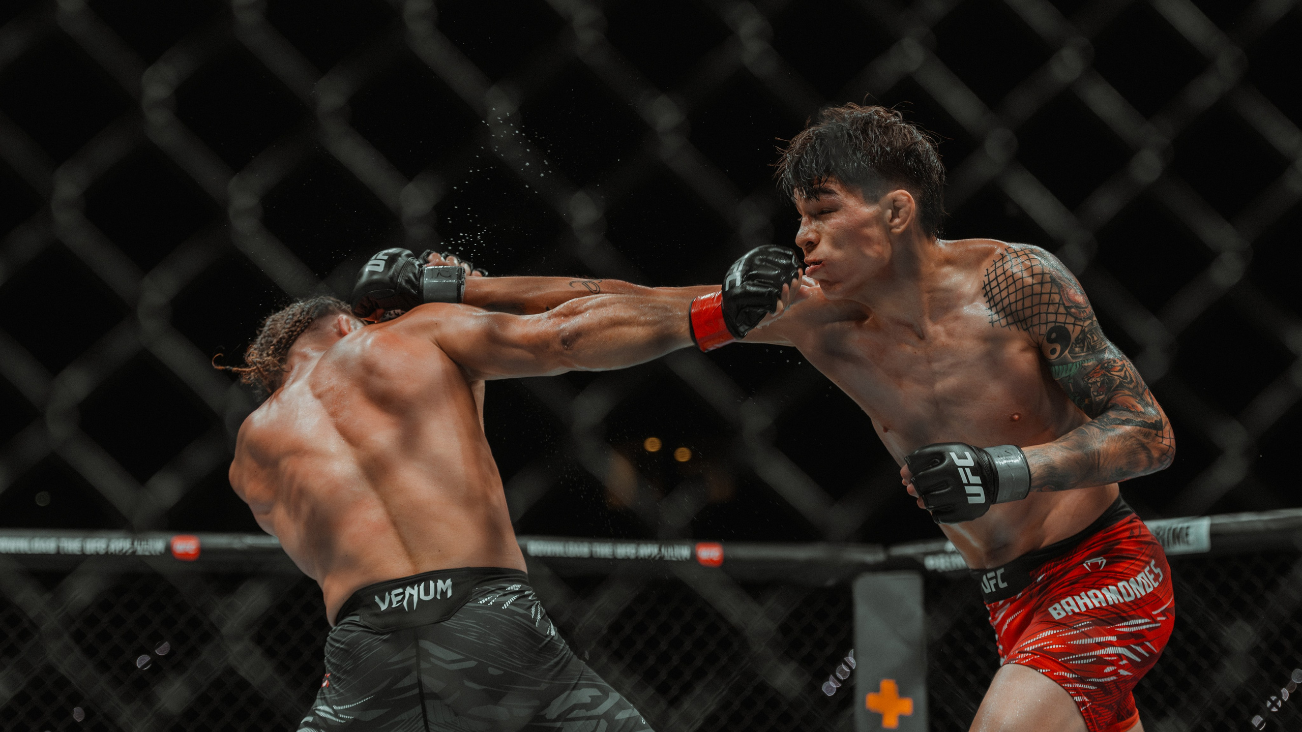 UFC. Commercial and Event photographer Eltaj