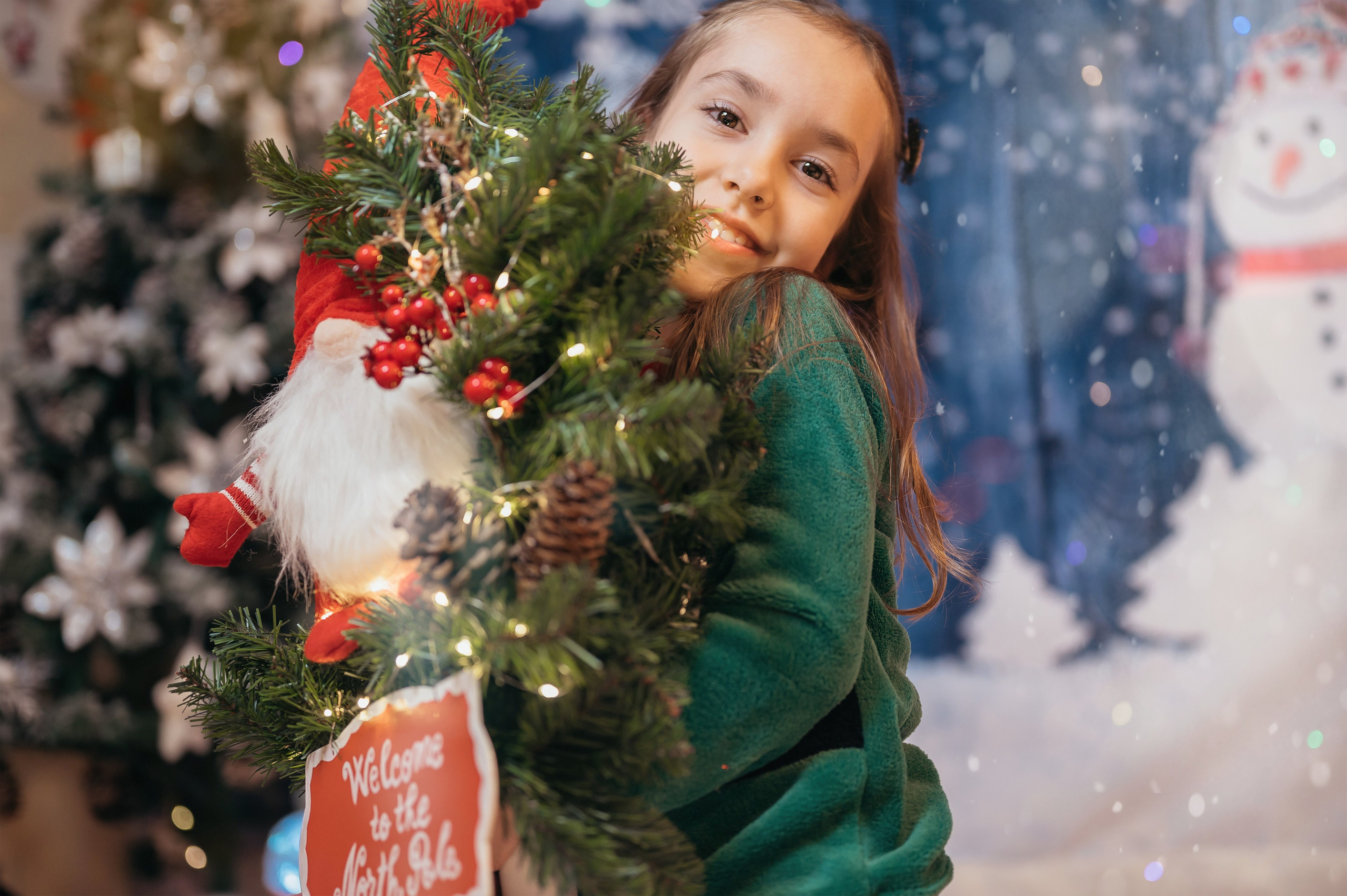 Sedinta Craciun Sofia