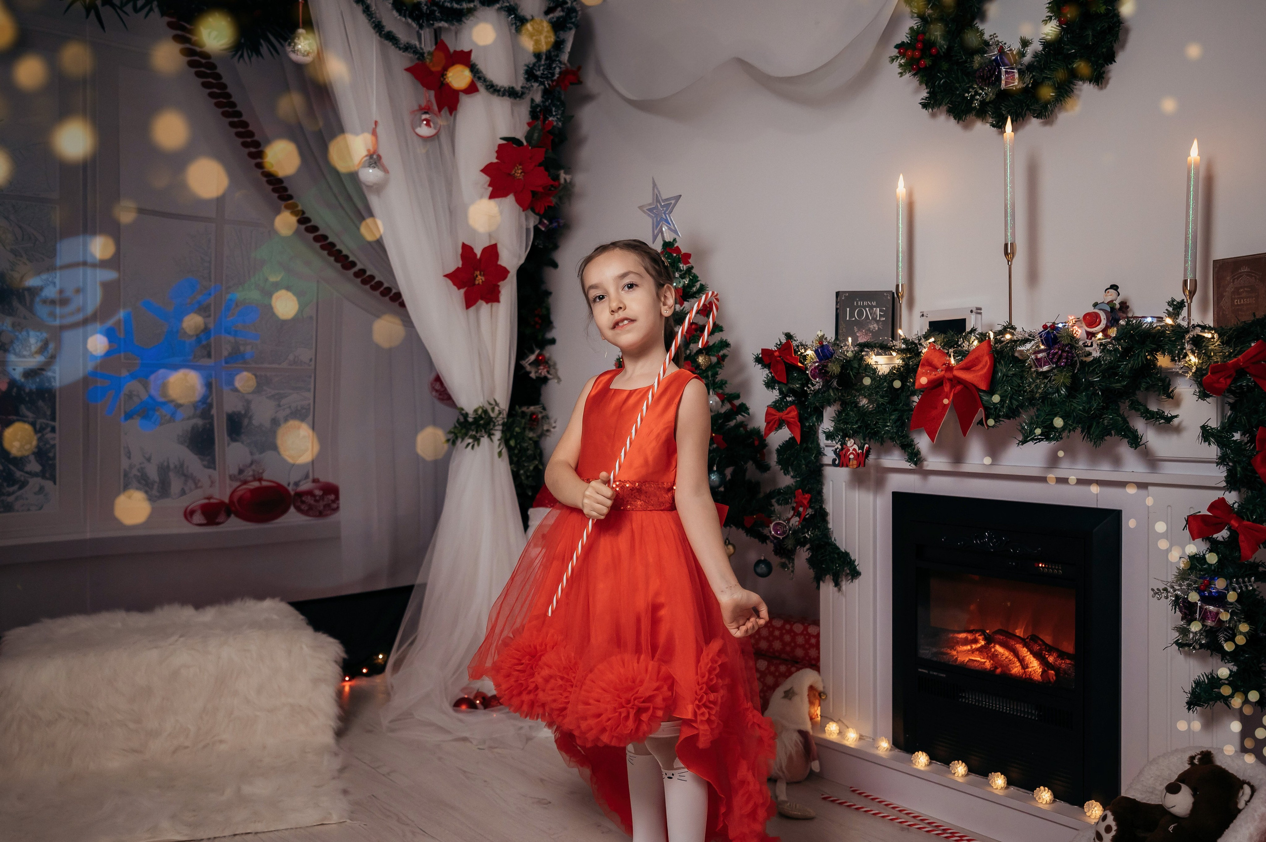 Sedinta Craciun Sofia