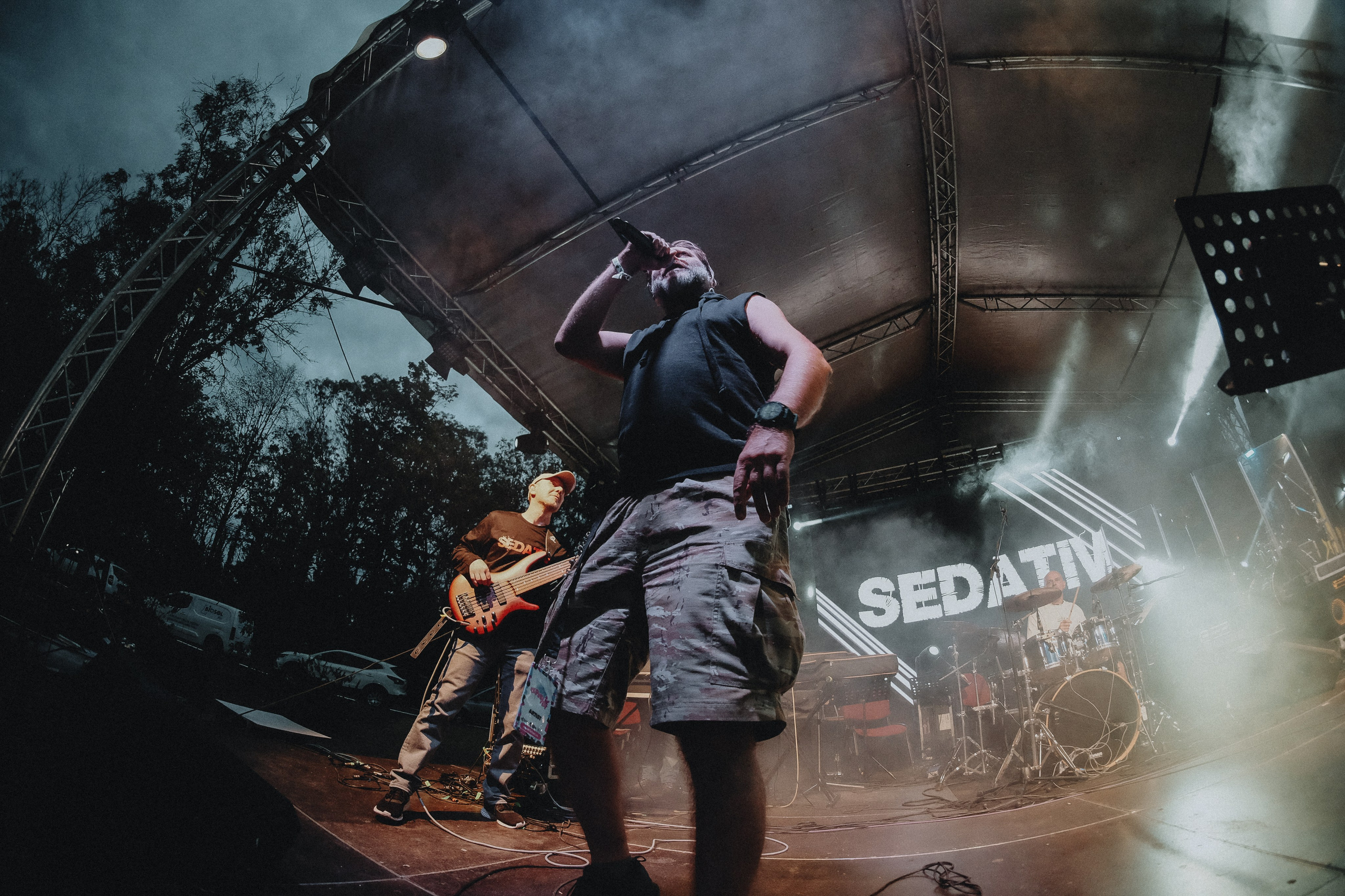 Sedativ. Hornetart