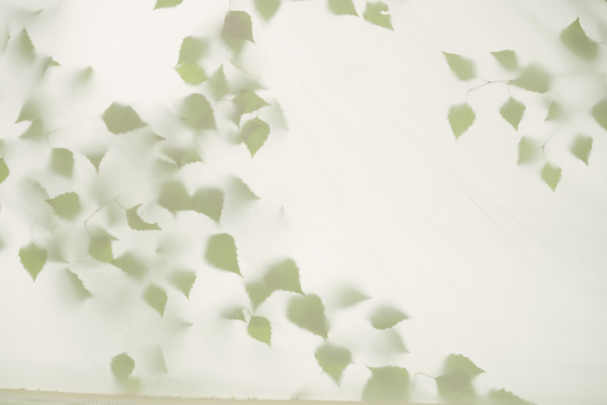 Fotografie de Eveniment Brașov: Povești Vizuale | Mădălina Beda. Madalina Beda- Artist vizual, fotograf, doula la nastere, consultant babywearing Brasov si in toata tara