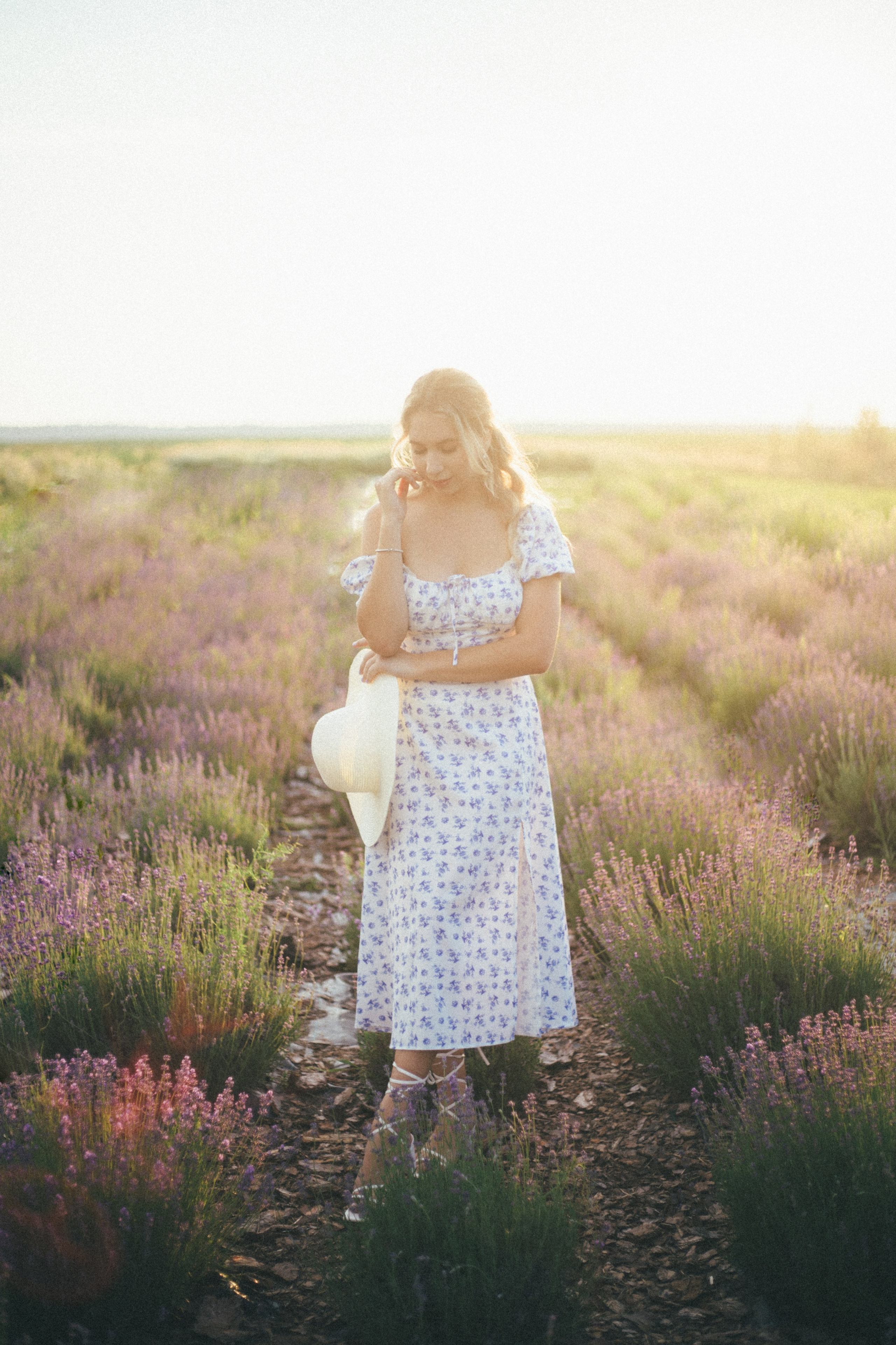 Lavender field. Photographer Anna Curly | Weddings and Events in Dubai