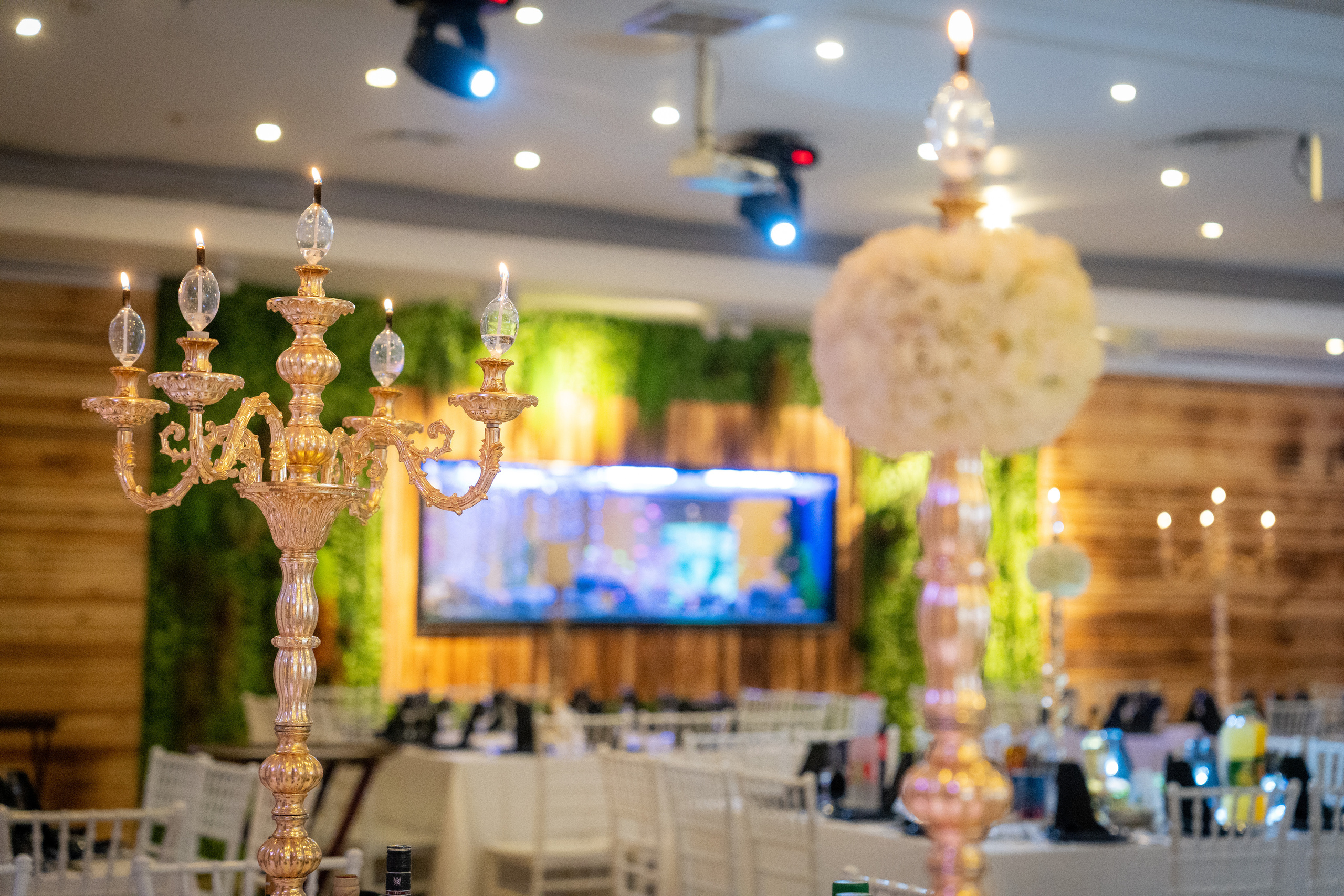 Ella & Matan. MDVD Фото-видео съемка мероприятий