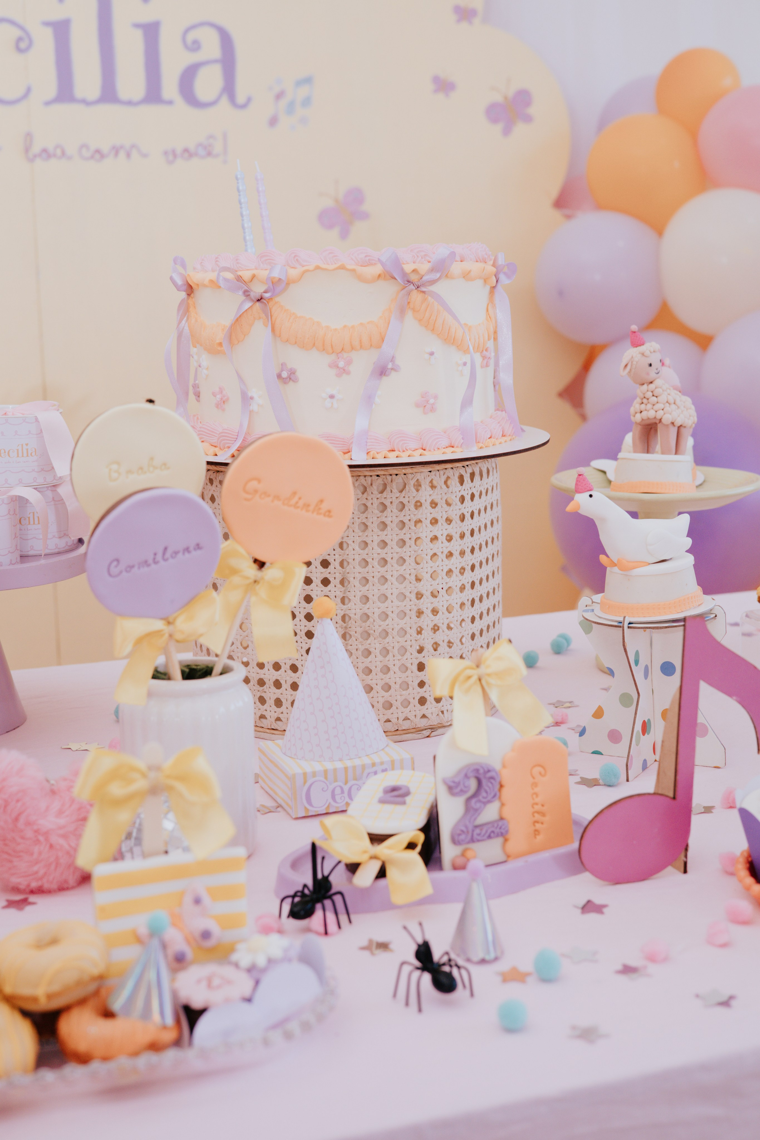 Cecília 2 anos. Fotografia de família e parto