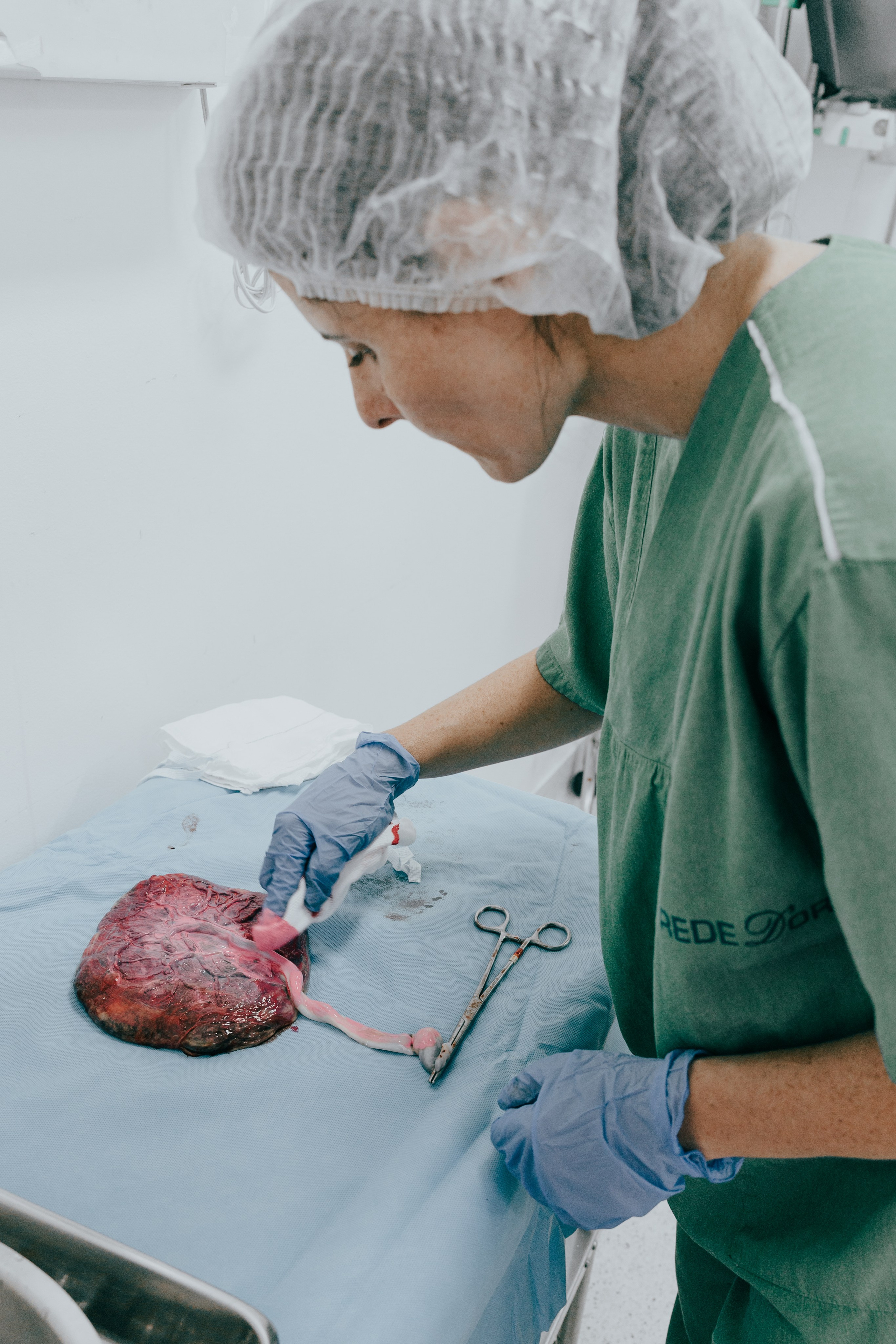 Nascimento Maria Cecília