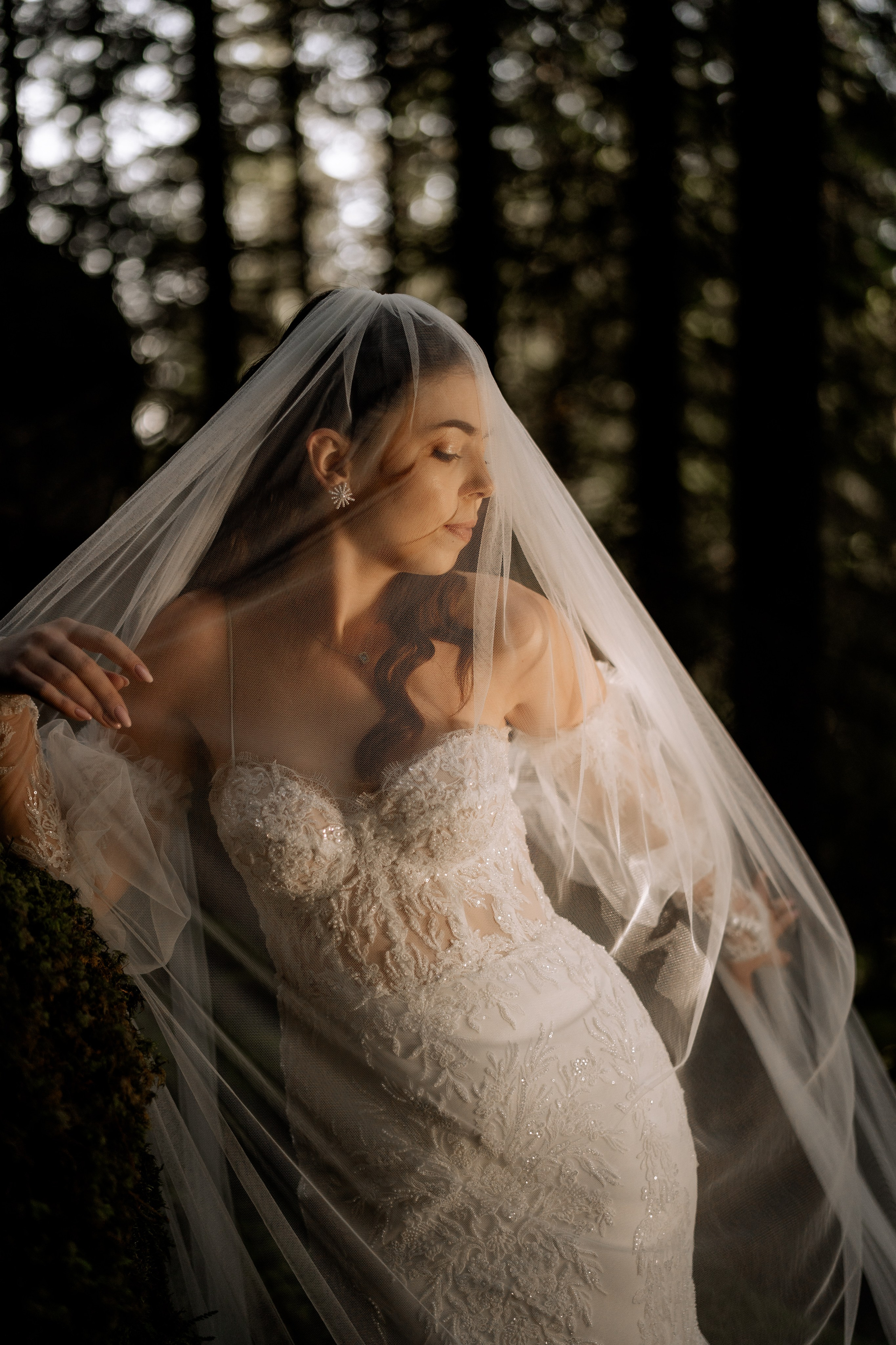 R & C. Spoiala Brothers — Wedding Films & Photography