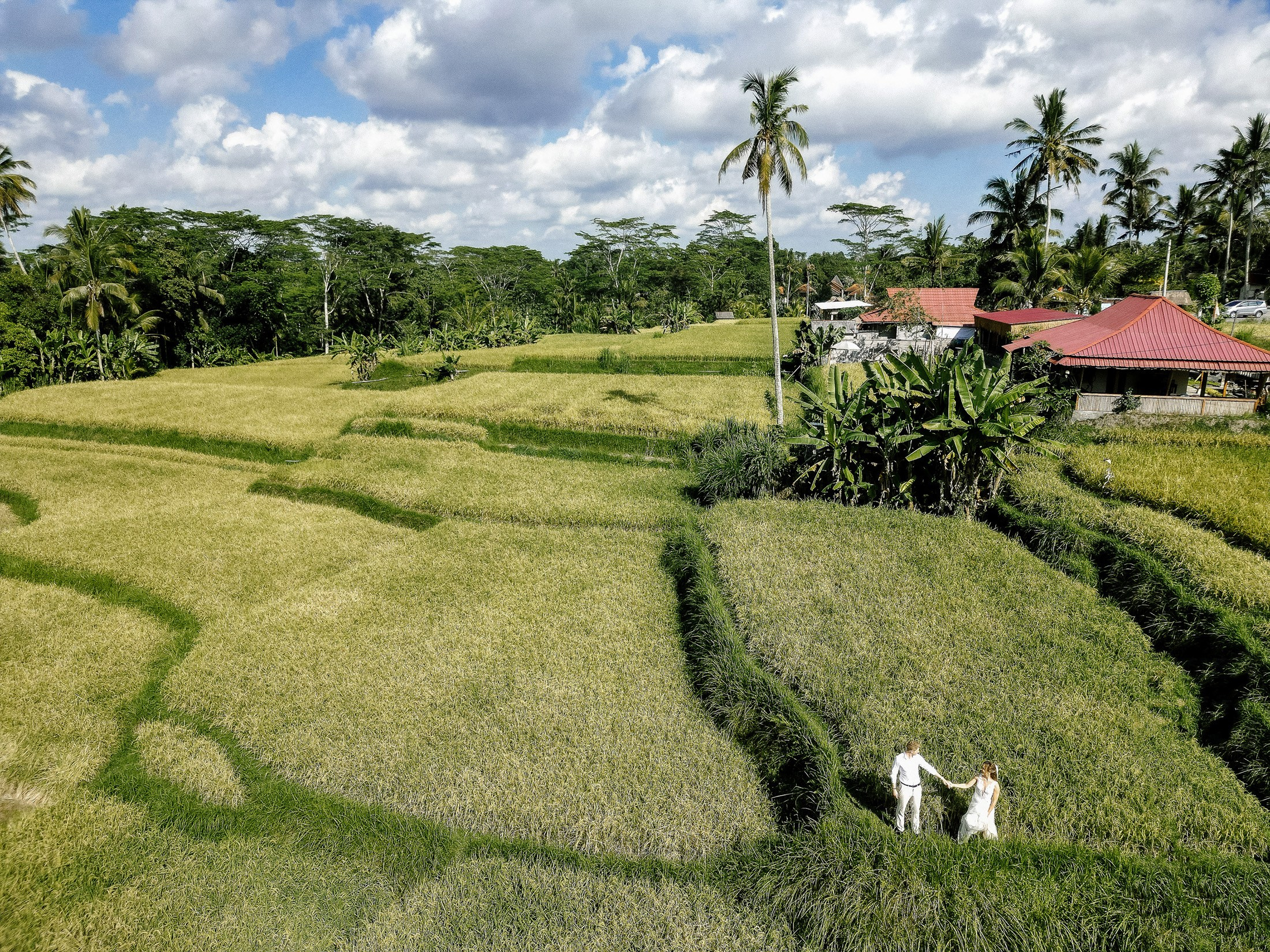 Waterfall wedding. Get.it.feel — Aesthetic Photography and Videography