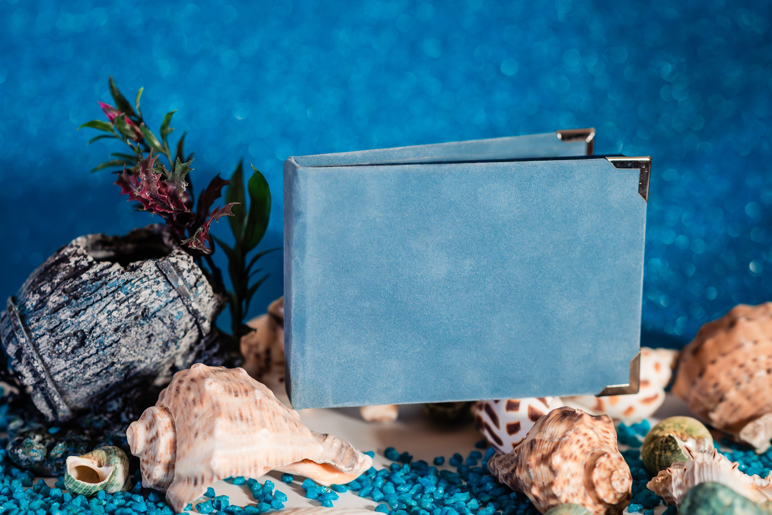 Cutii de stik- Ariana Events. Giani Maftei