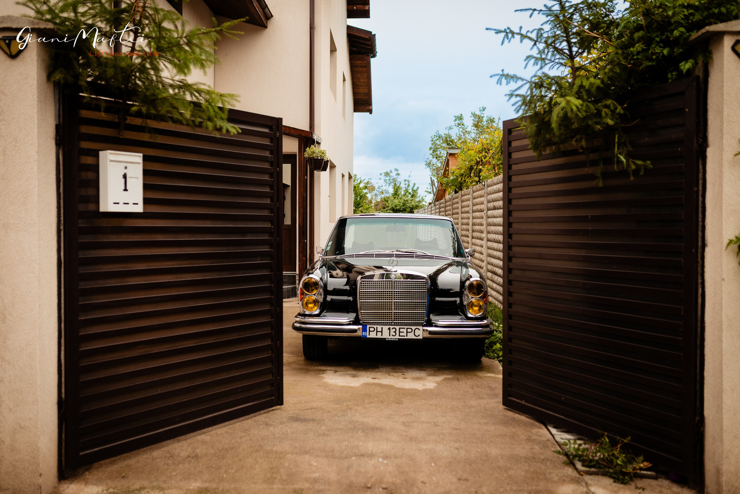 Wedding. Giani Maftei