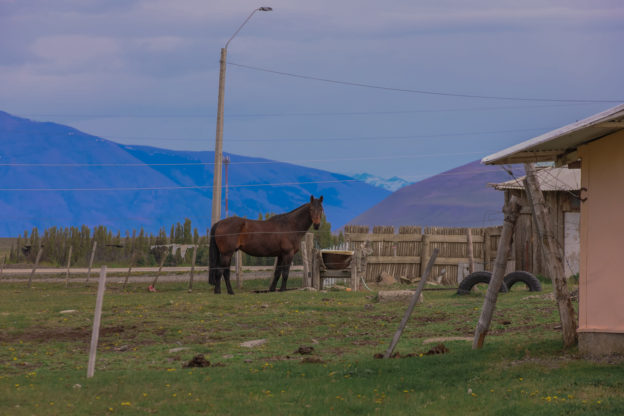 PATAGONIE. Photographe Karen Tatevosian