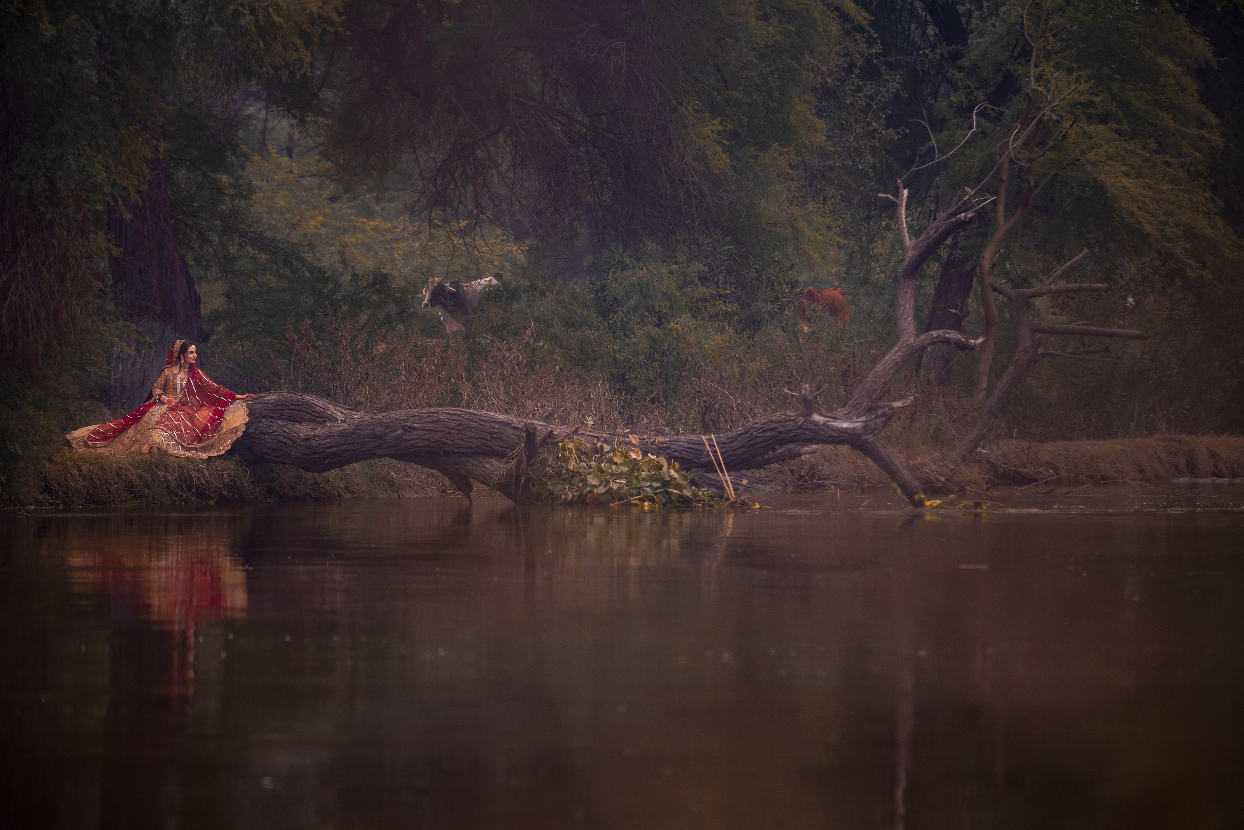 Portfolio. Chaar Bhai — Your Personal Family Historians