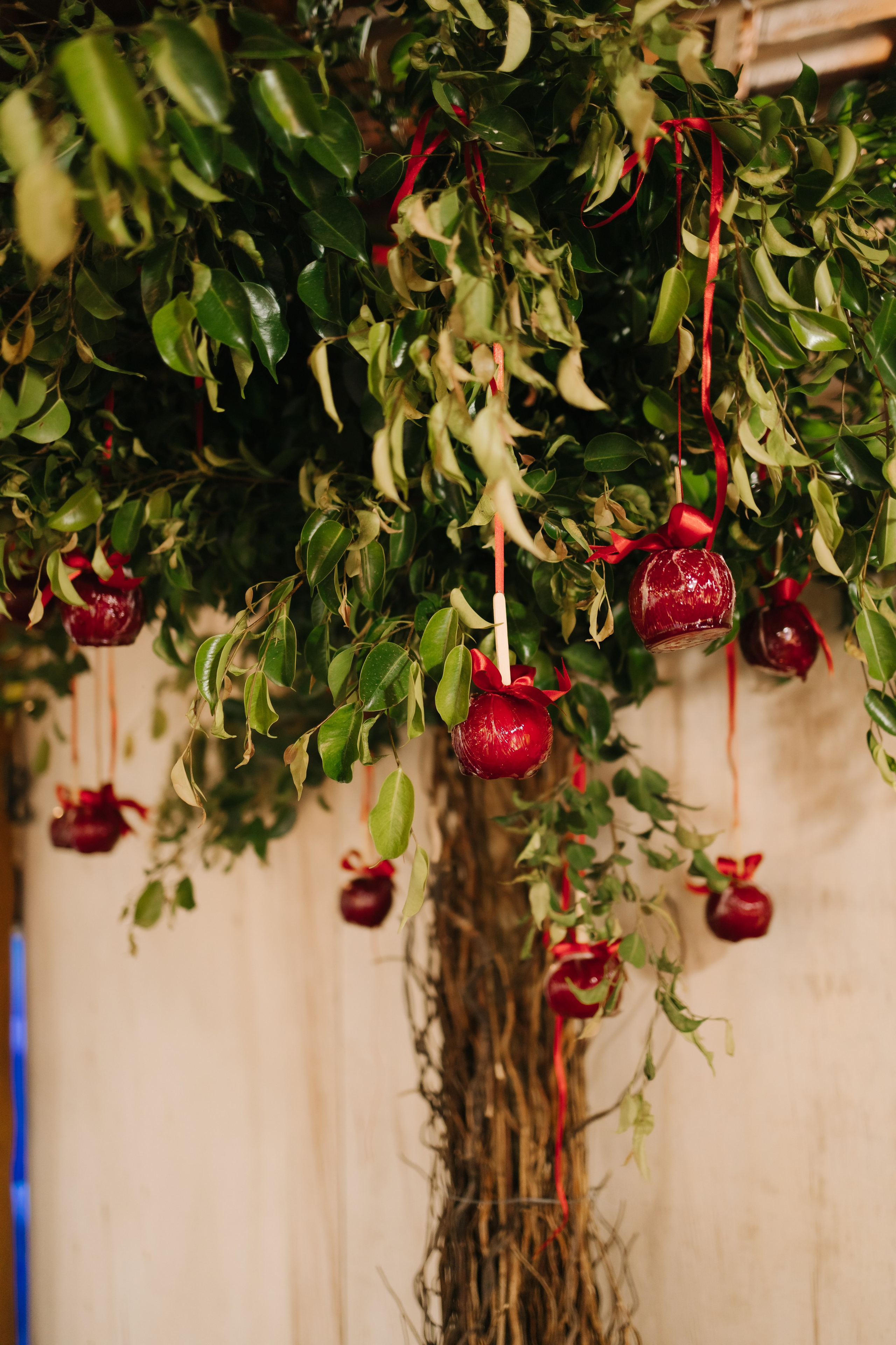 Helena — 1 ano. Fotógrafo Richard Silvestre — Casamentos na Bahia